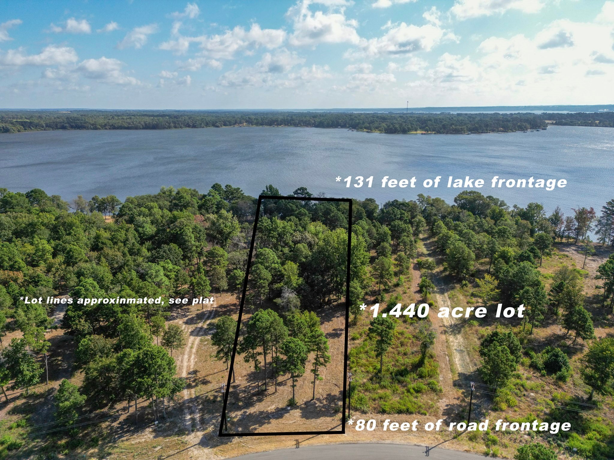 Property photo 01 of 3146 Shadow Pine Drive, Larue, TX 75770 | MLS #20417636