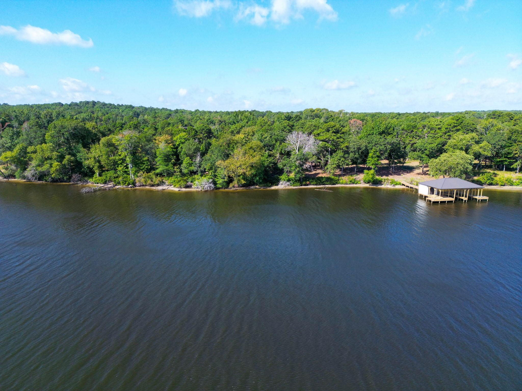 Property photo 02 of 3146 Shadow Pine Drive, Larue, TX 75770 | MLS #20417636
