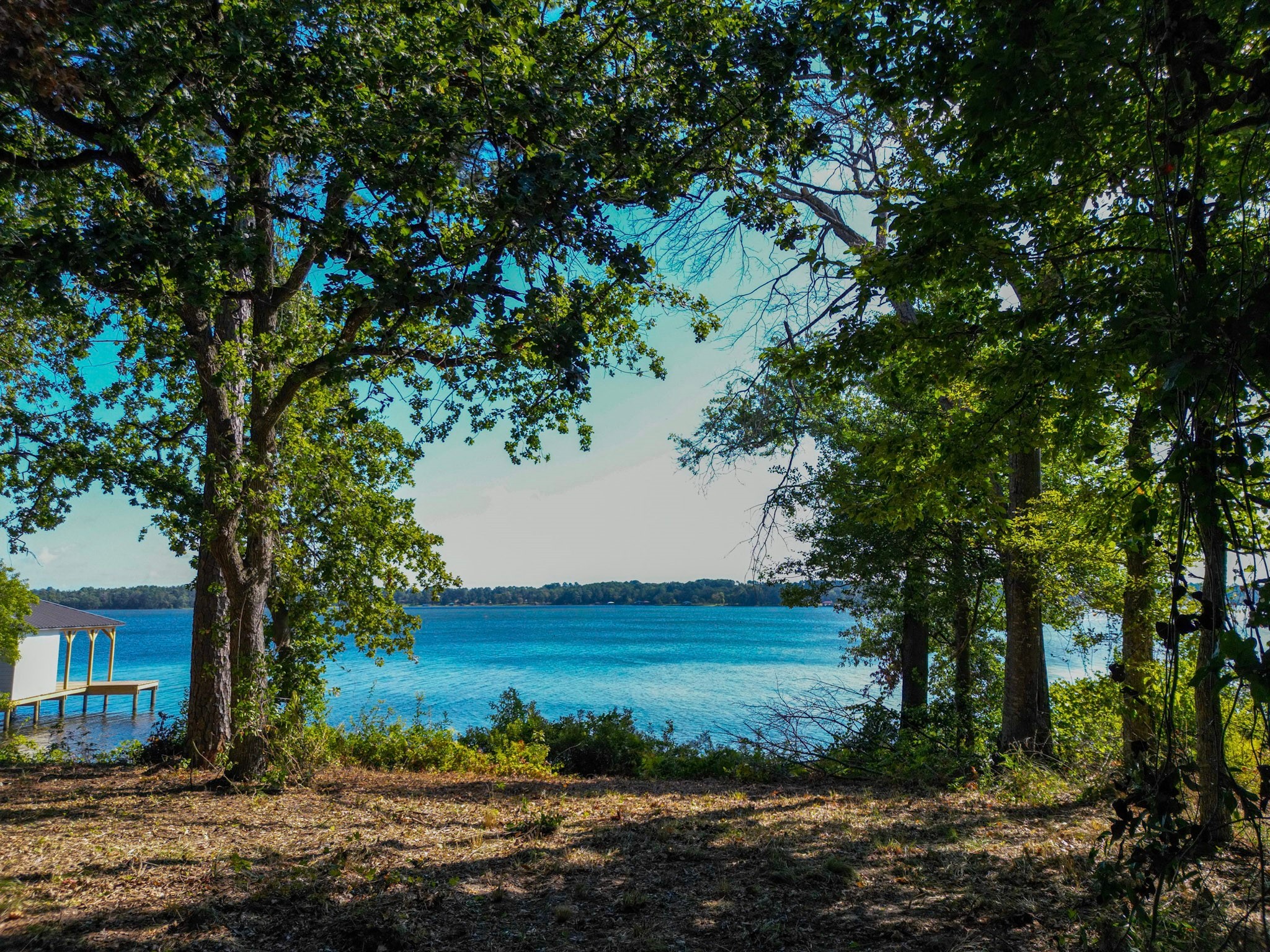 Property photo 04 of 3146 Shadow Pine Drive, Larue, TX 75770 | MLS #20417636