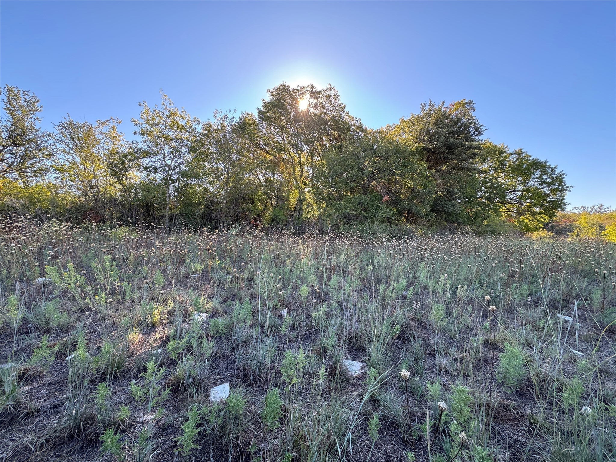 Property photo 01 of TBD Mason Court, Dublin, TX 76446 | MLS #20457631