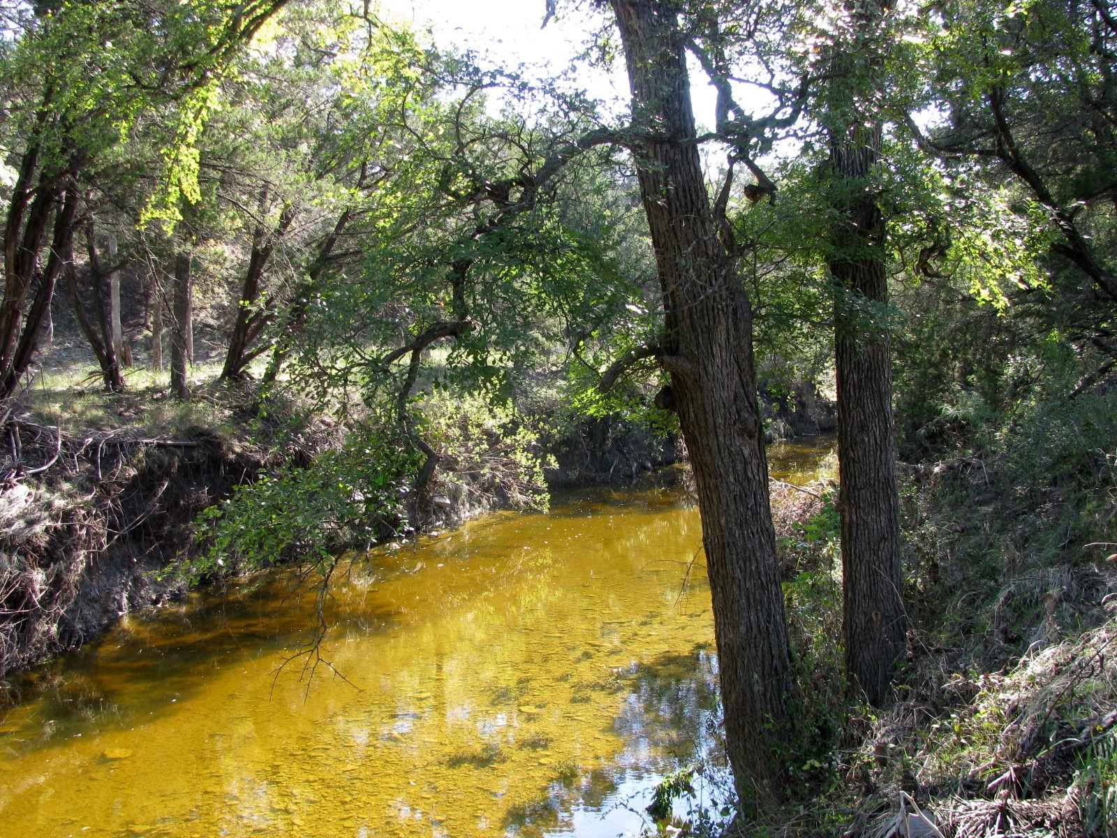Property photo 01 of TBD PR 42112, Evant, TX 76525 | MLS #20469729