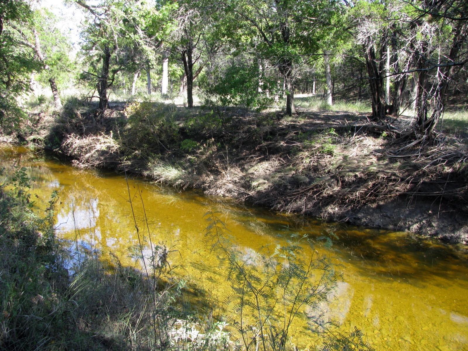 Property photo 03 of TBD PR 42112, Evant, TX 76525 | MLS #20469729