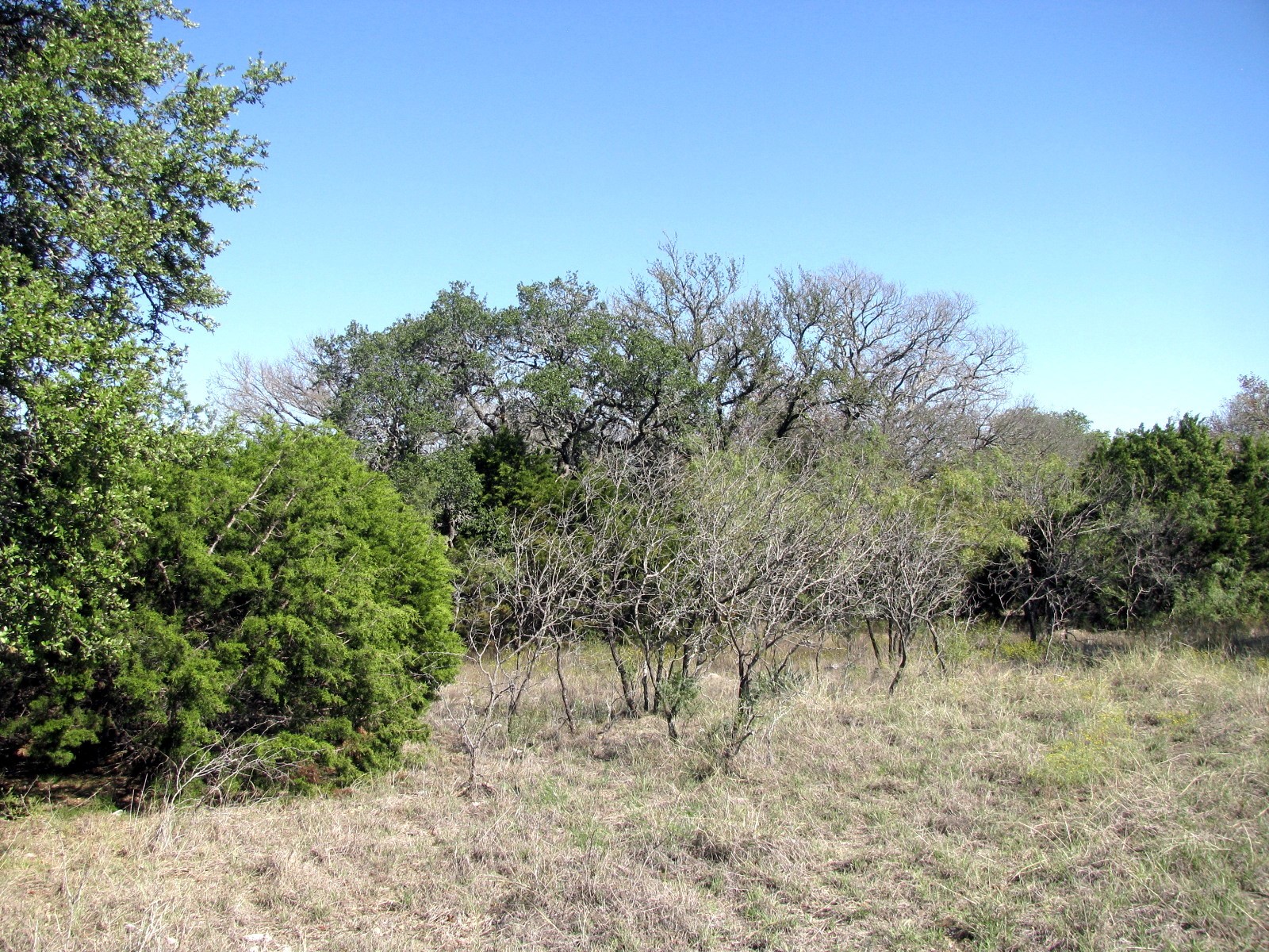 TBD PR 42112, Evant, TX, 76525
