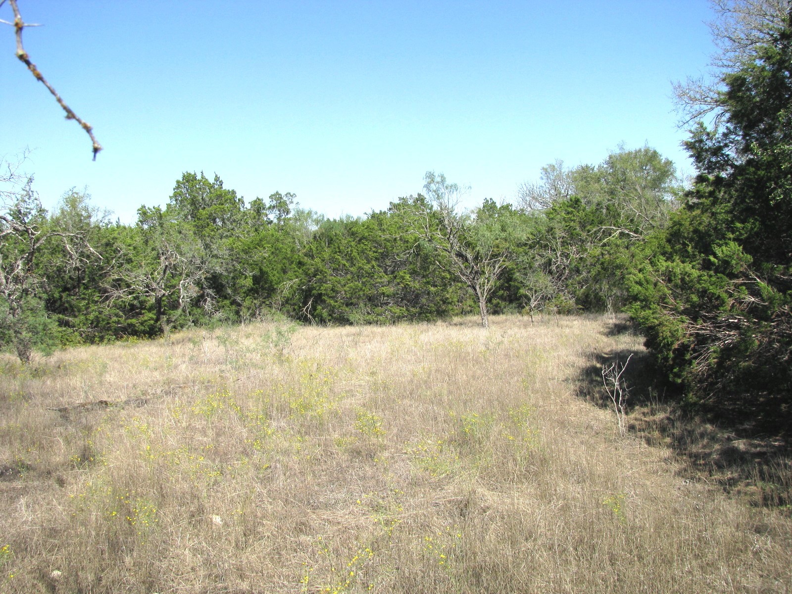TBD PR 42112, Evant, TX, 76525