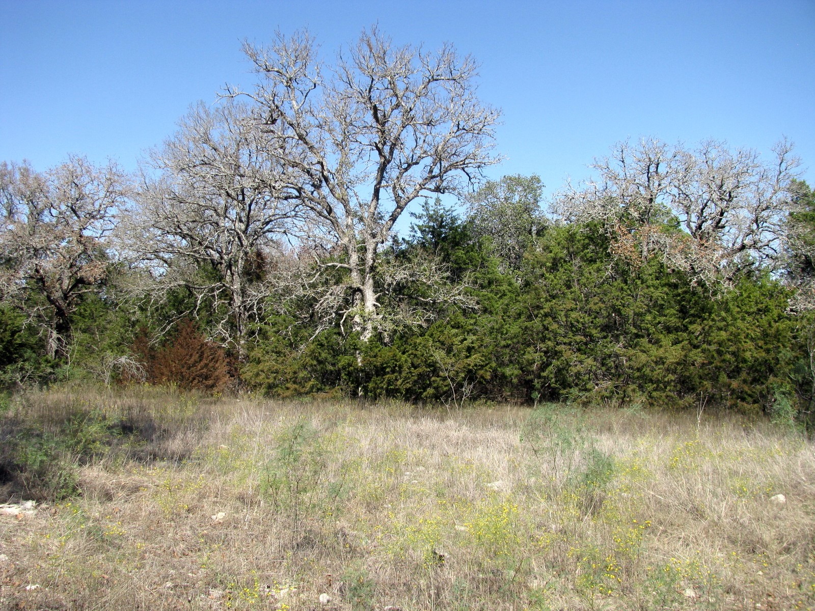 TBD PR 42112, Evant, TX, 76525