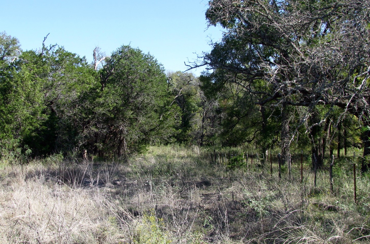 TBD PR 42112, Evant, TX, 76525