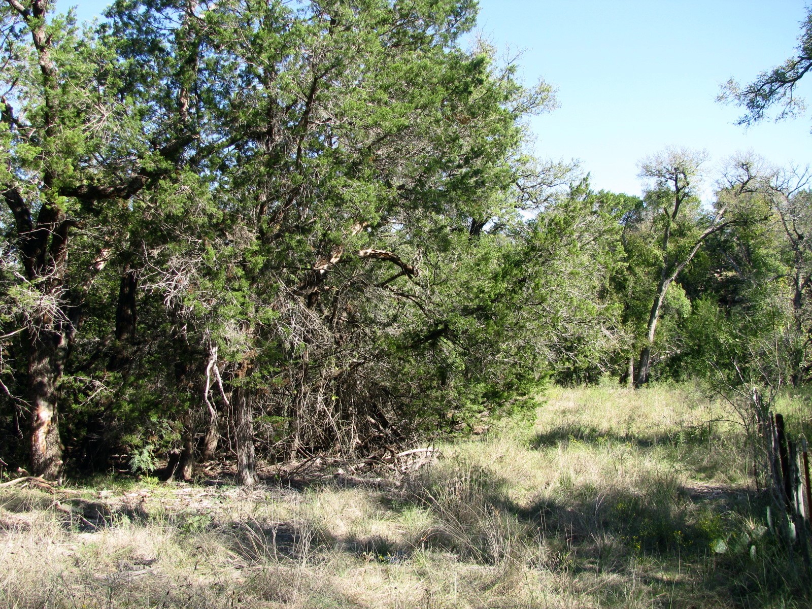 TBD PR 42112, Evant, TX, 76525