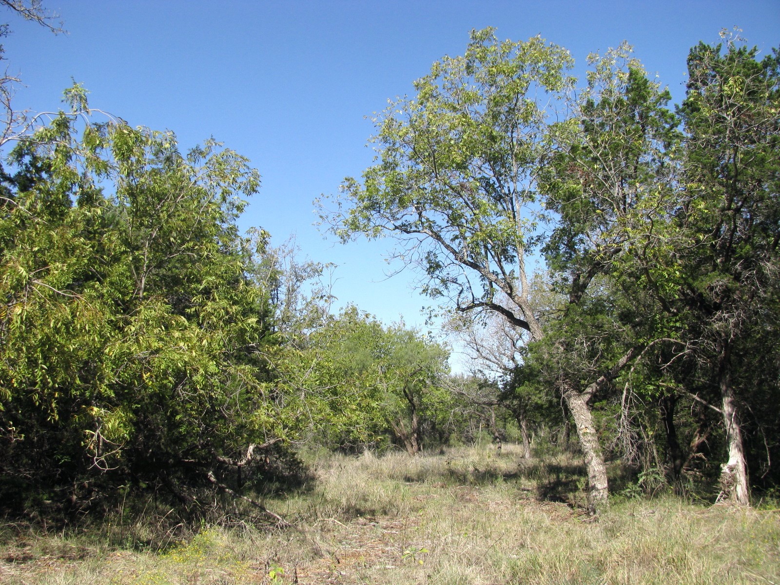 TBD PR 42112, Evant, TX, 76525