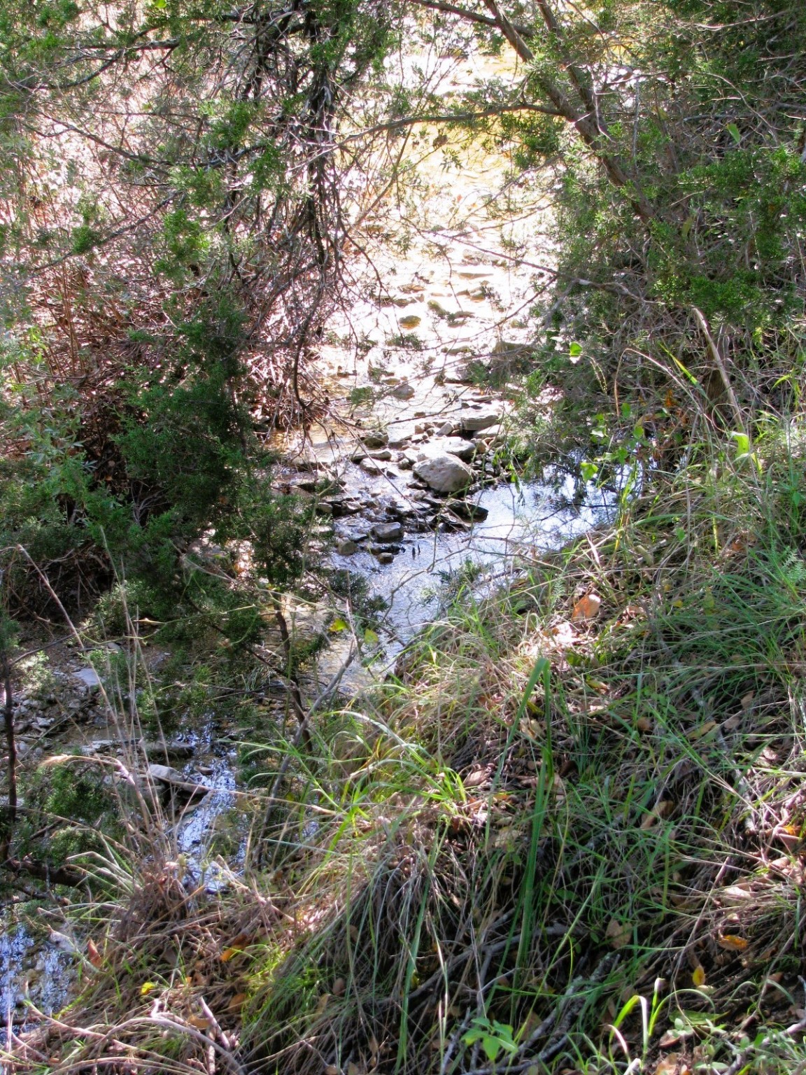 TBD PR 42112, Evant, TX, 76525