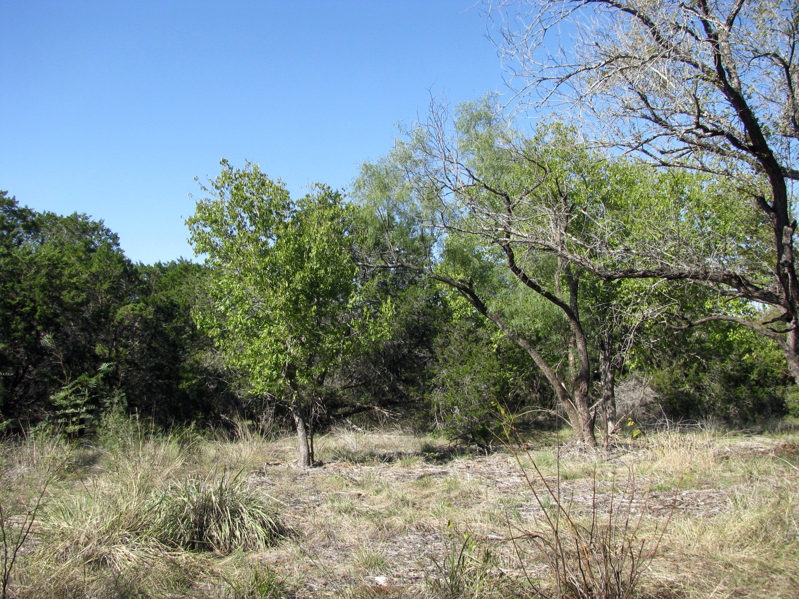 TBD PR 42112, Evant, TX, 76525