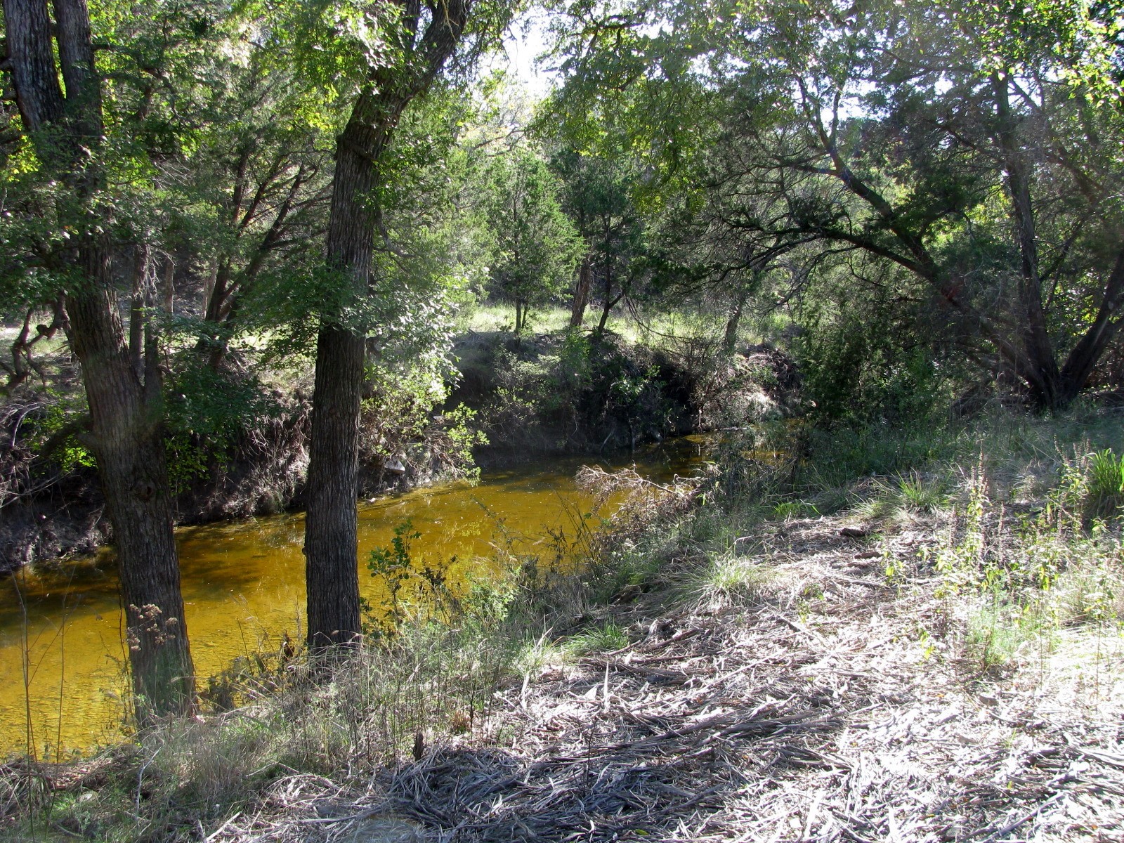 TBD PR 42112, Evant, TX, 76525