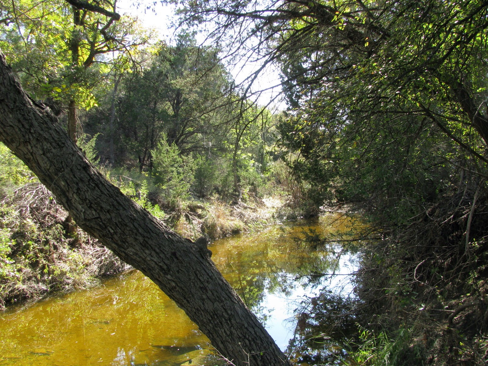 TBD PR 42112, Evant, TX, 76525