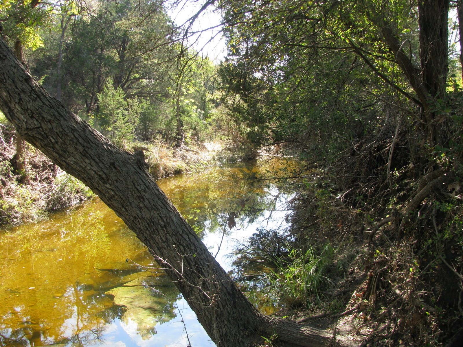 TBD PR 42112, Evant, TX, 76525