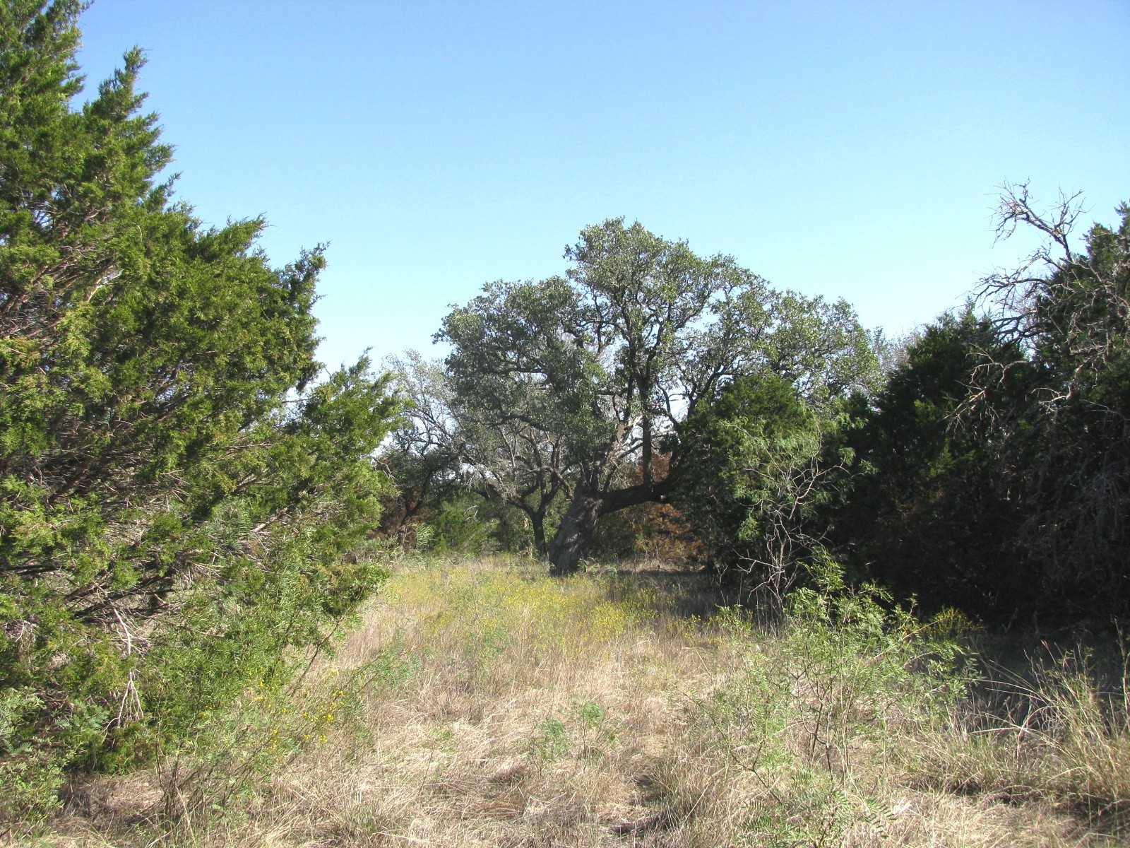 TBD PR 42112, Evant, TX, 76525