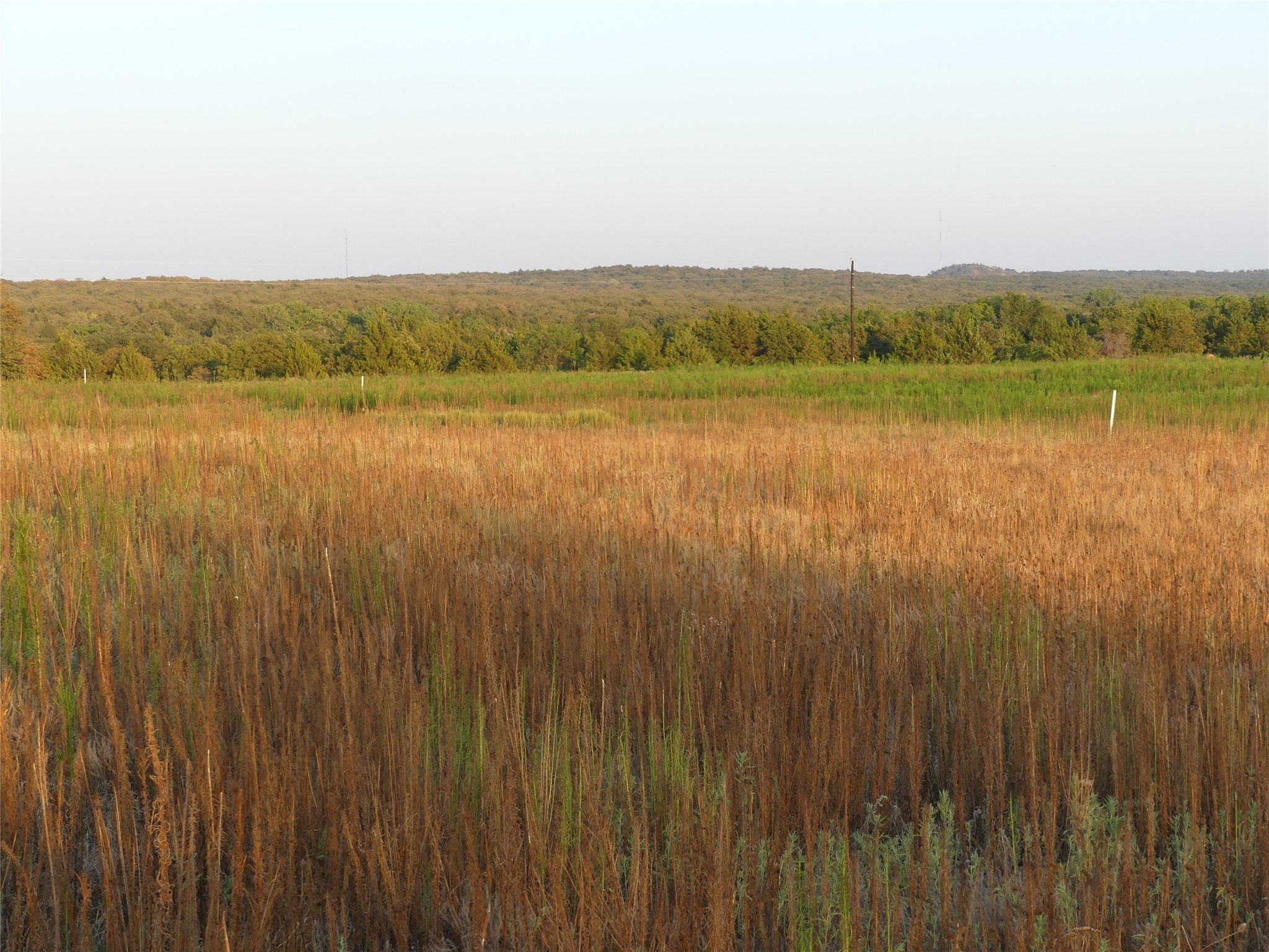 Property photo 01 of 251 Pondview Lane, Nocona, TX 76255 | MLS #20506224