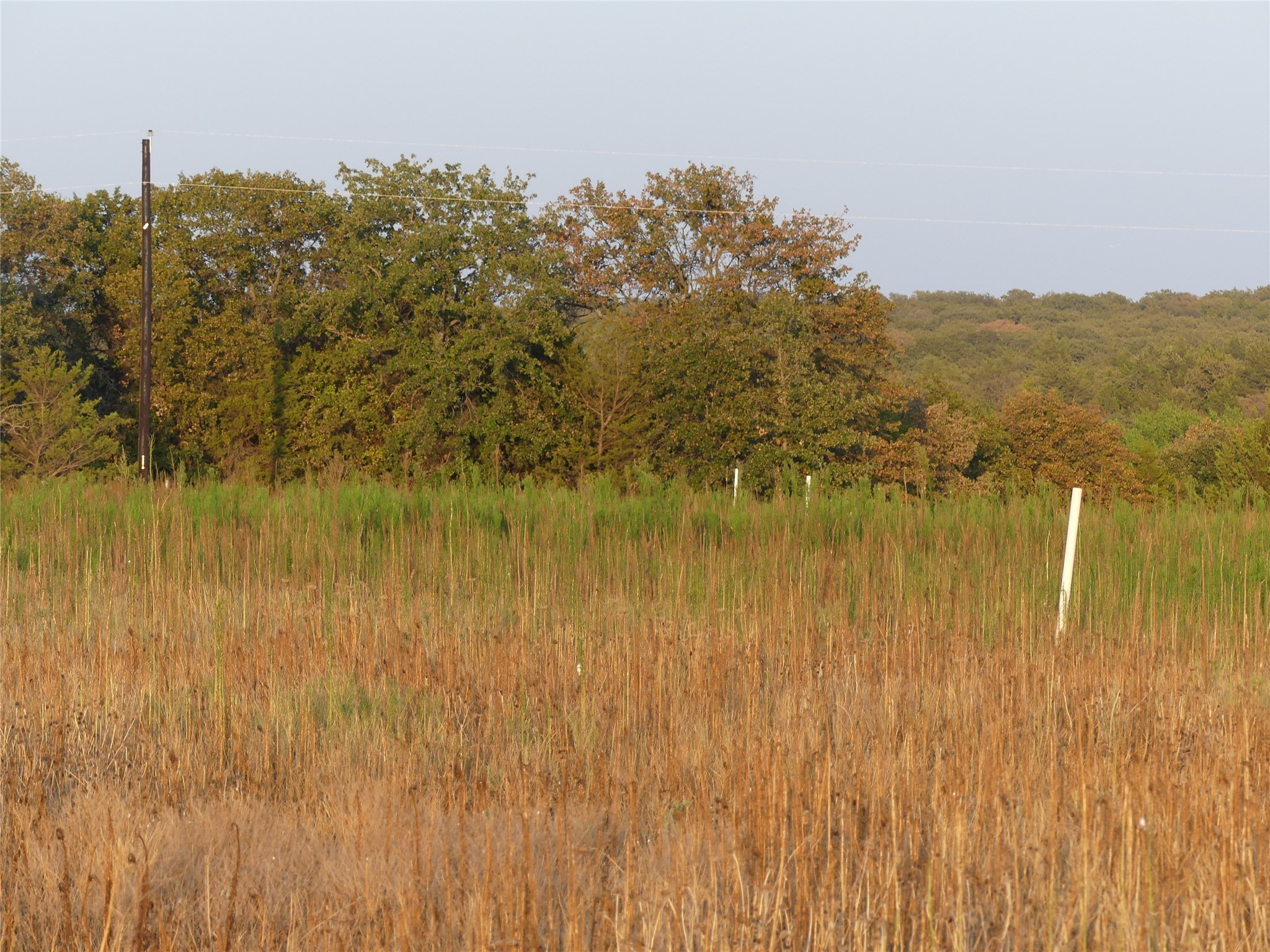 Property photo 04 of 251 Pondview Lane, Nocona, TX 76255 | MLS #20506224