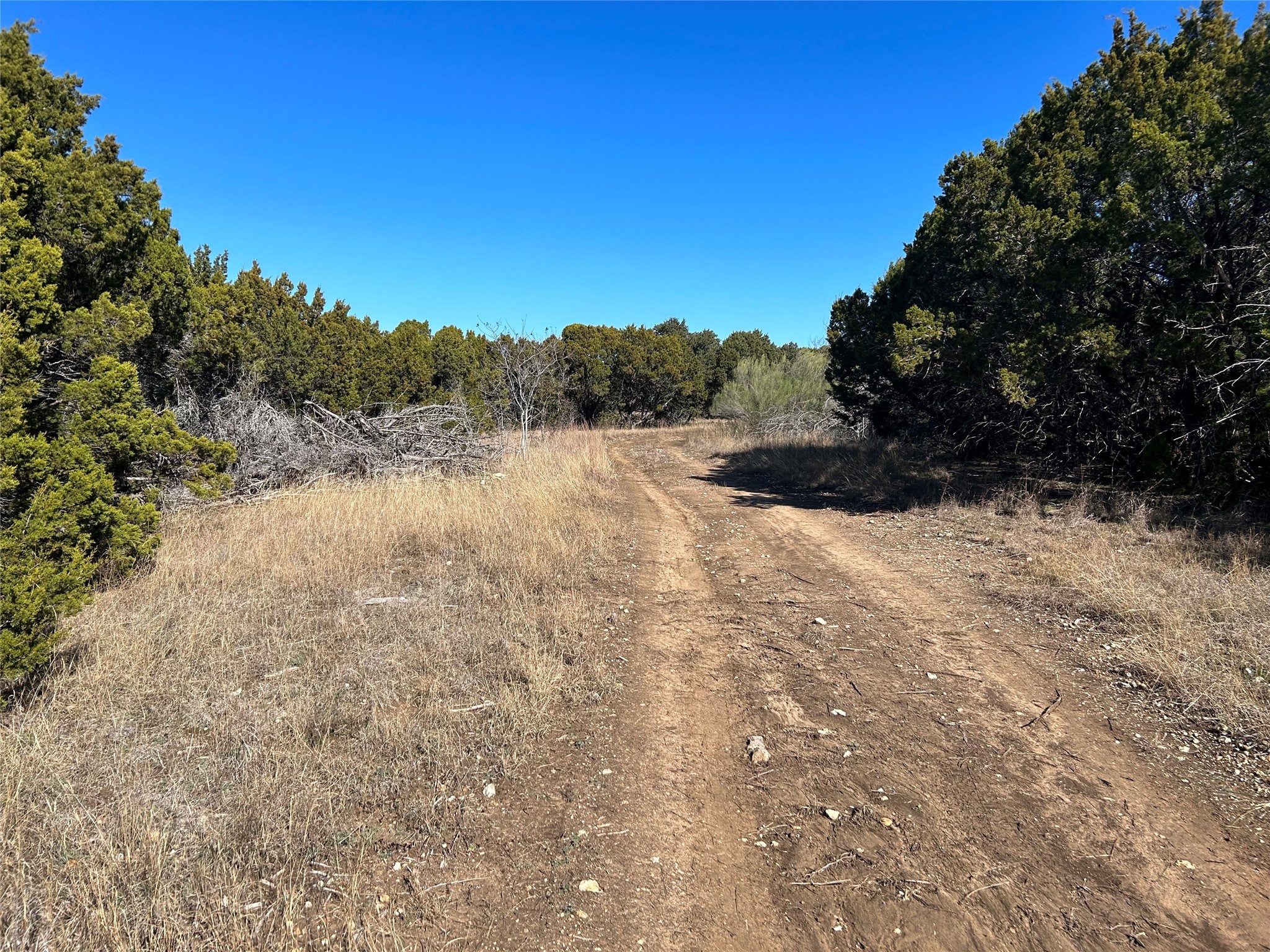 Property photo 01 of 330 Fort Graham Road, Whitney, TX 76692 | MLS #20508653