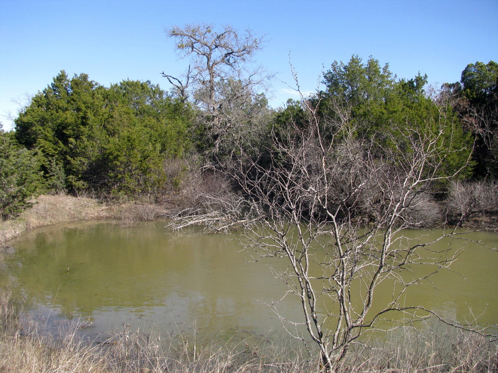 Property photo 01 of Lot 3 Ph 6 County Road 421, Evant, TX 76525 | MLS #20515879