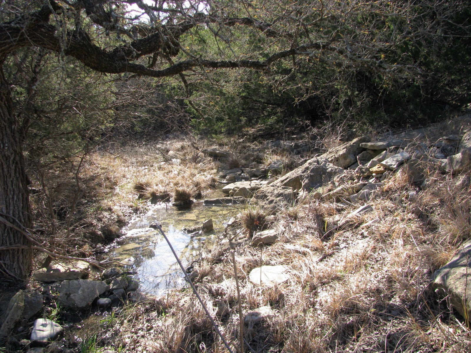 Property photo 02 of Lot 3 Ph 6 County Road 421, Evant, TX 76525 | MLS #20515879