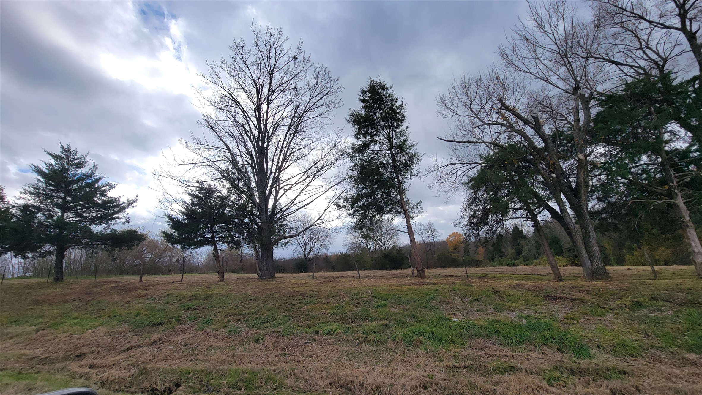 Property photo 03 of TBD FM 1536 Sulphur, Springs, TX 75482 | MLS #20585037