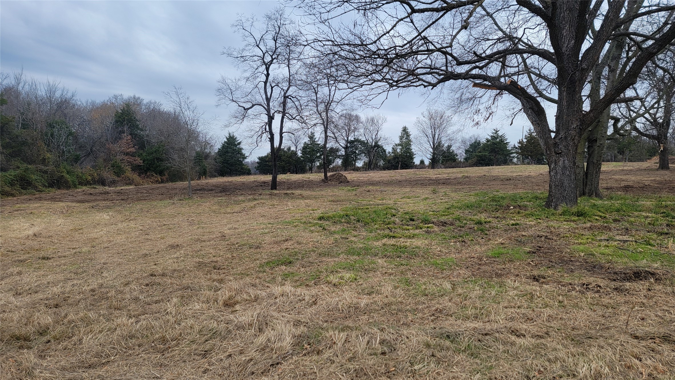 Property photo 04 of TBD FM 1536 Sulphur, Springs, TX 75482 | MLS #20585037