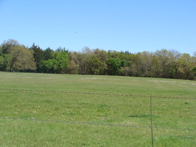0 TBD2 Fleming Road, Bells, TX, 75414