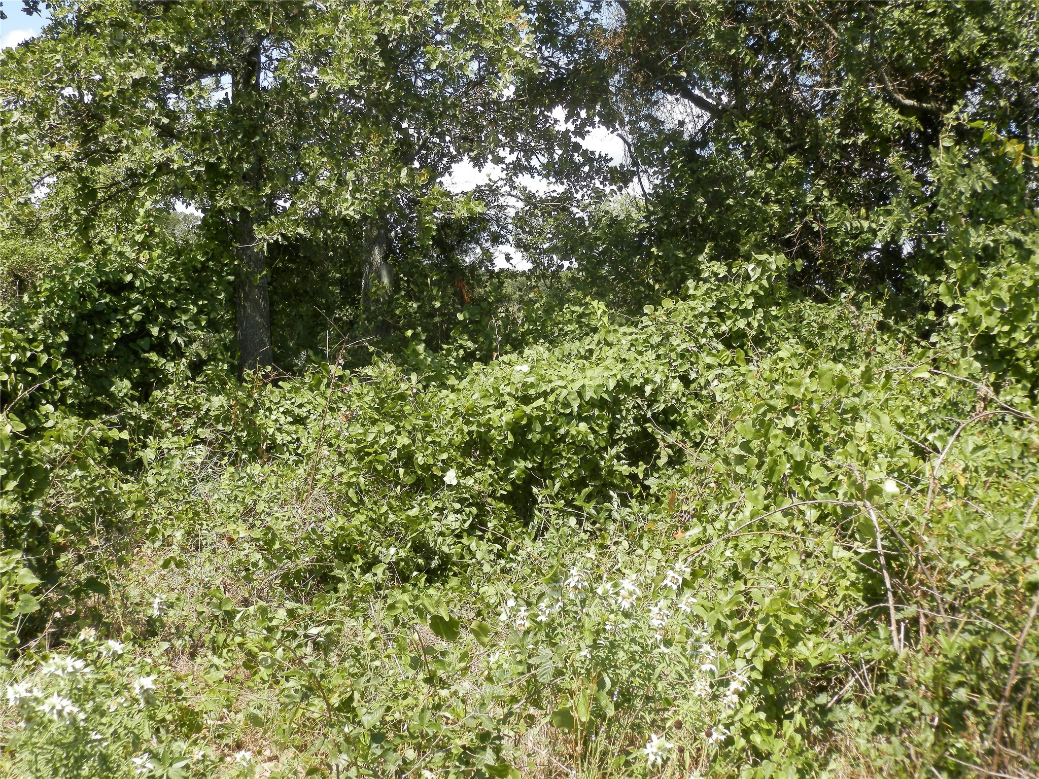 00 Cr-1560, Chico, TX, 76431