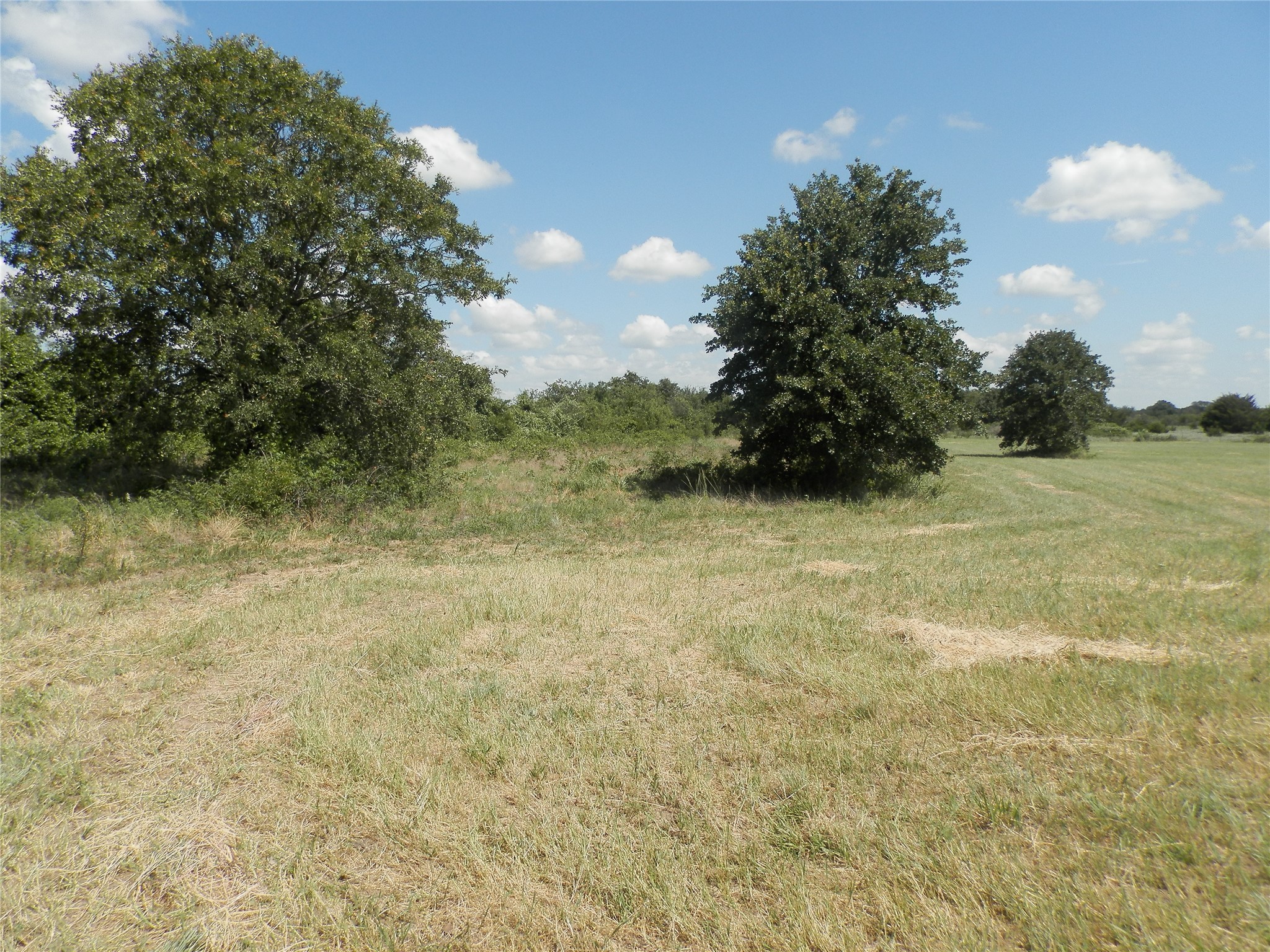 00 Cr-1560, Chico, TX, 76431
