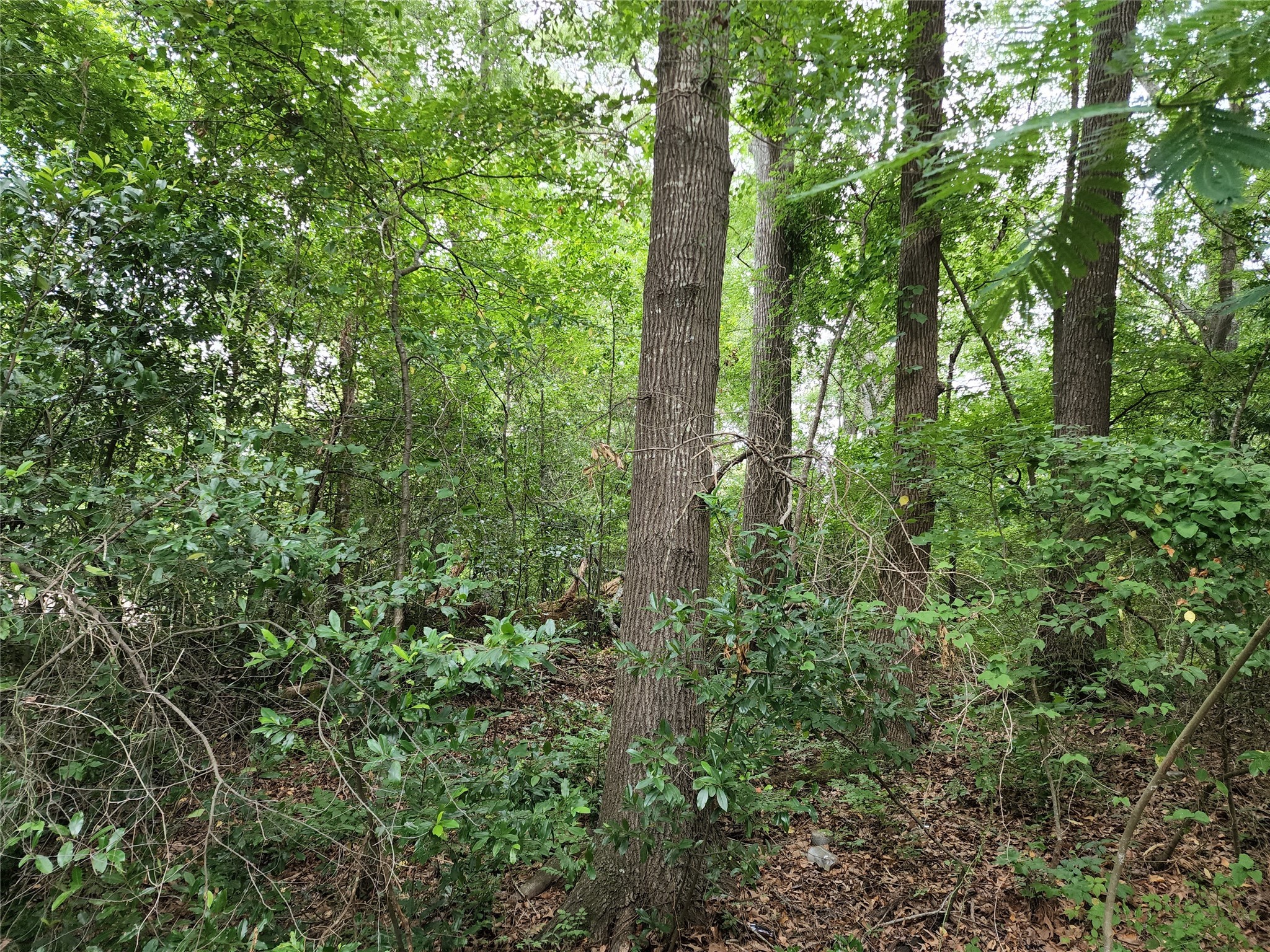 Property photo 02 of TBD Flournoy Street, Quitman, TX 75783 | MLS #20720531