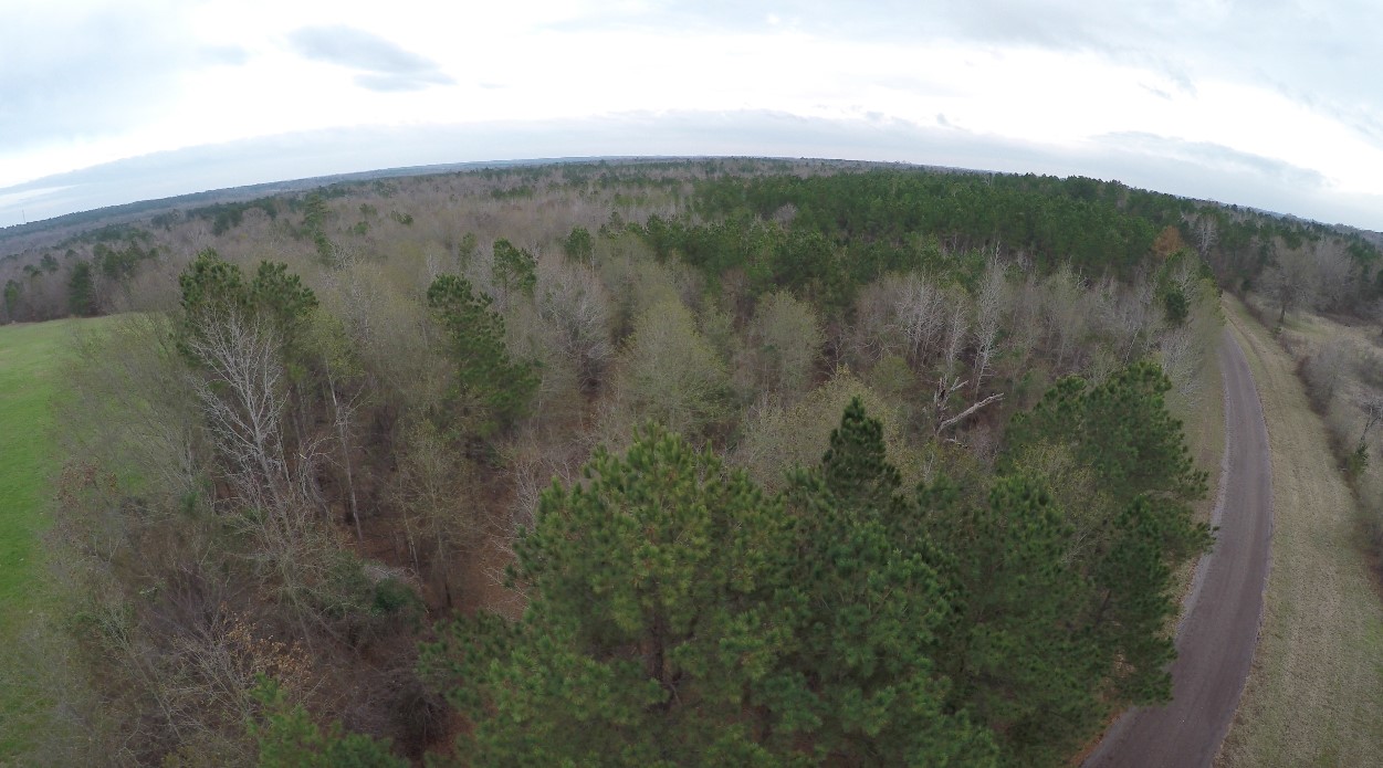 Property photo 01 of MLS #20834255 | MLS #20834255