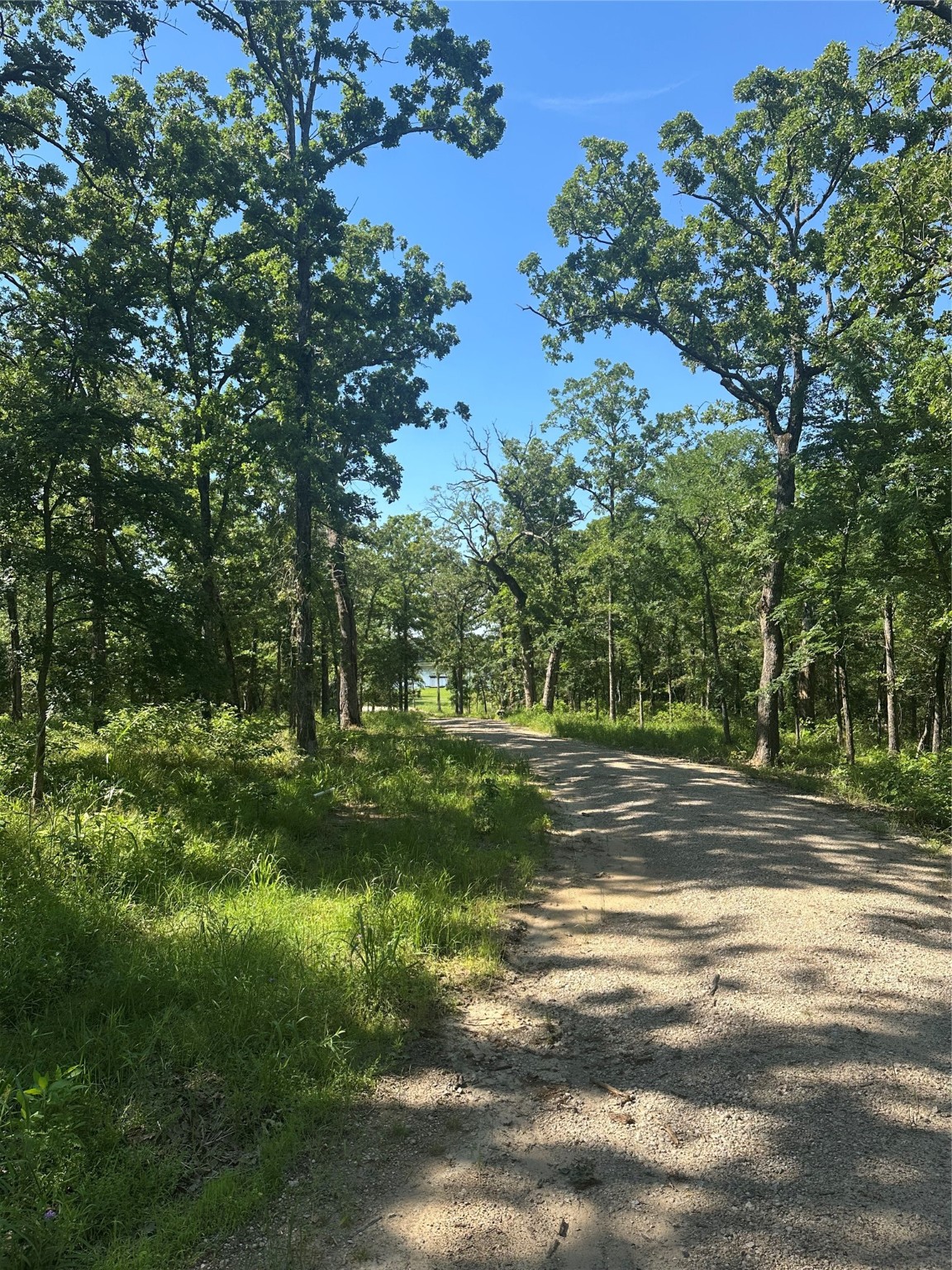 Property photo 03 of 14192 Ridge Lane, Malakoff, TX 75148 | MLS #20899496