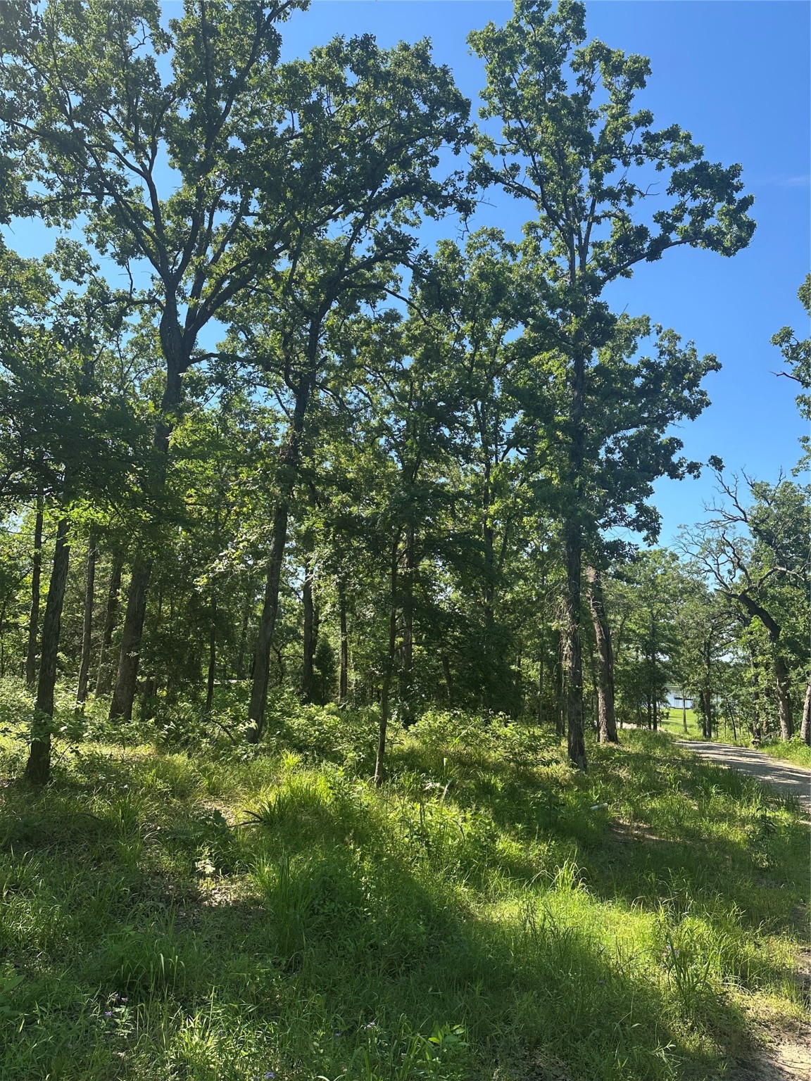 Property photo 04 of 14192 Ridge Lane, Malakoff, TX 75148 | MLS #20899496