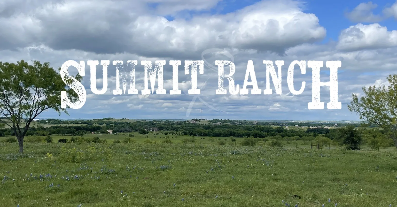 1250 Muir Road, Aledo, TX, 76008