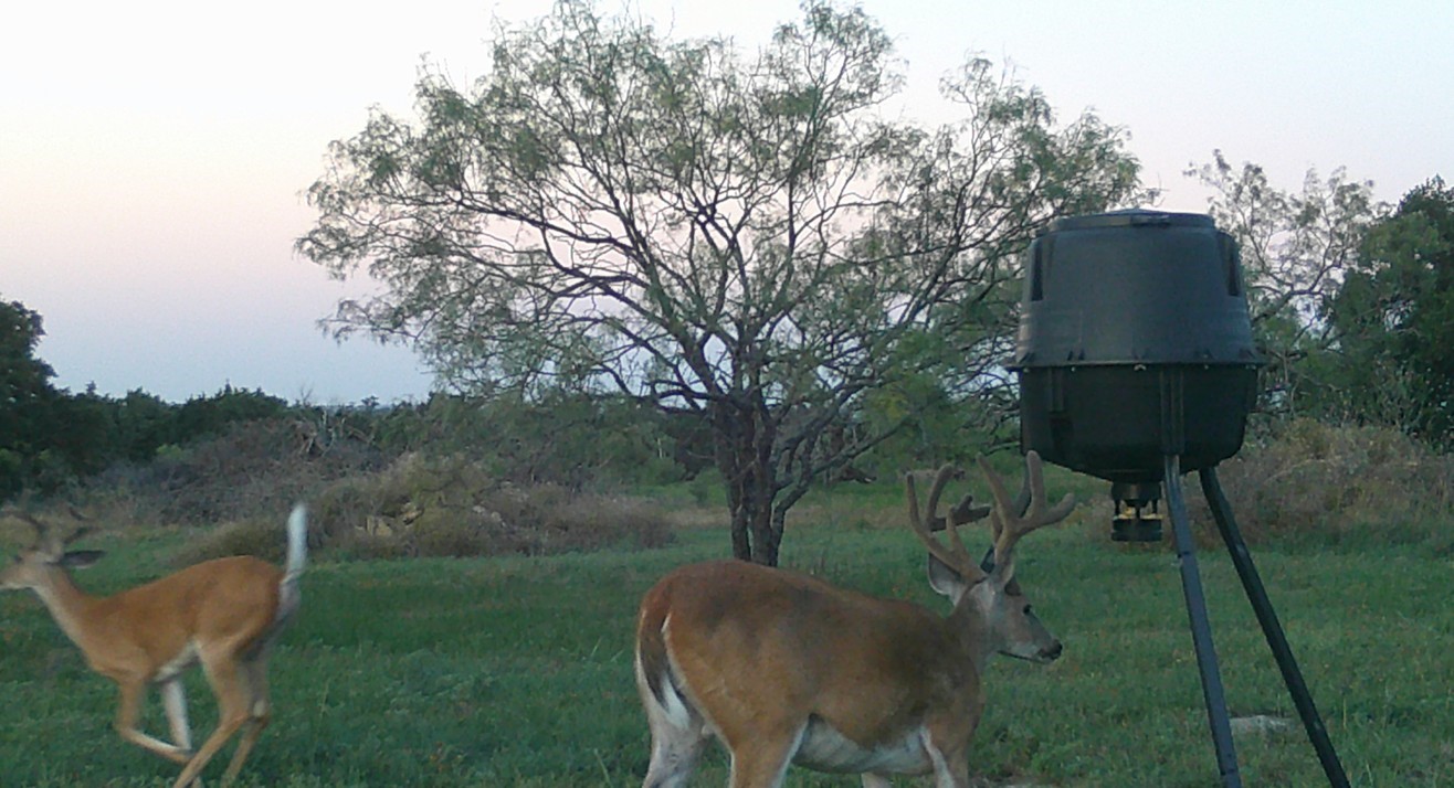 570 PR 42103, Evant, TX, 76525