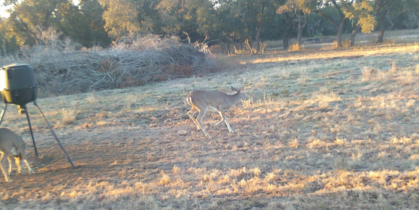 570 PR 42103, Evant, TX, 76525
