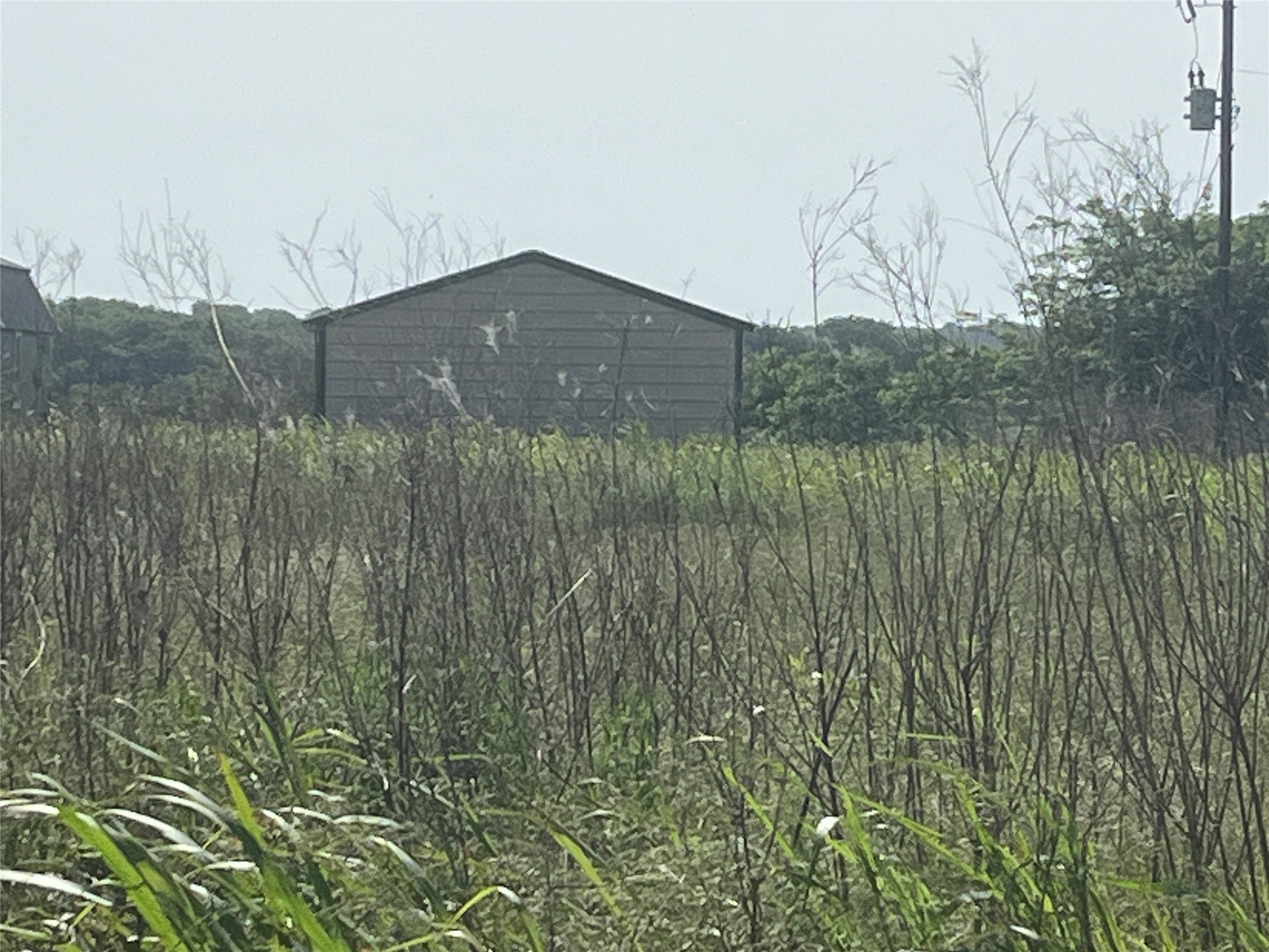Property photo 03 of 00 Cr-2266, Quinlan, TX 75474 | MLS #20941077