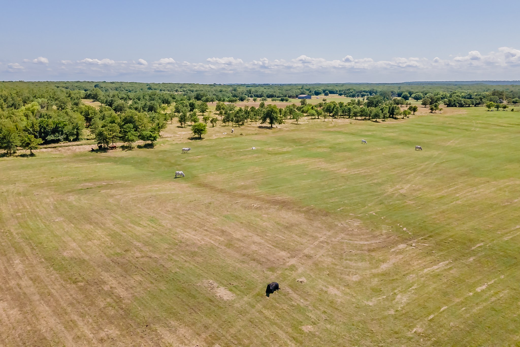 1179 County Road 1990, Chico, TX, 76431