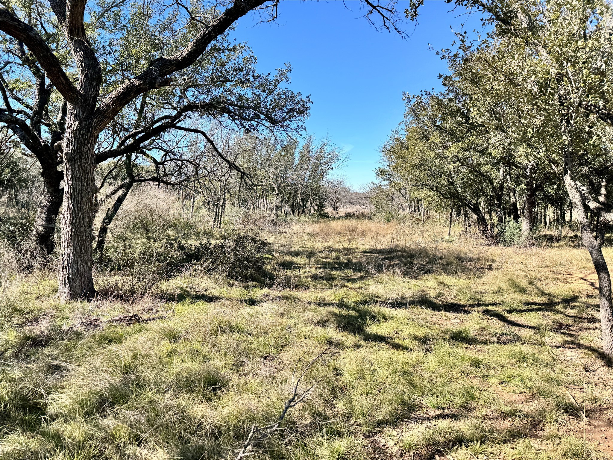 TBD Lot 240 Feather Bay Drive, Brownwood, TX, 76801