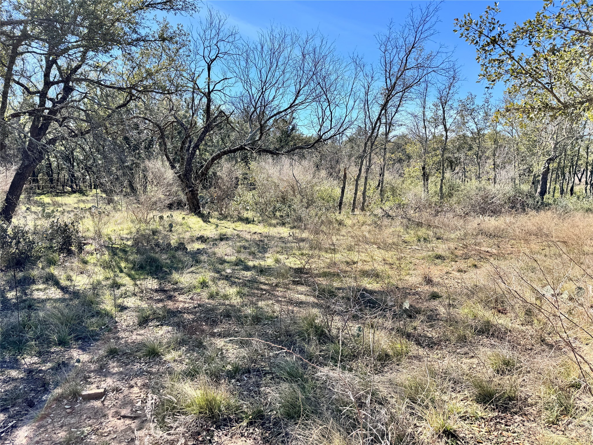 TBD Lot 240 Feather Bay Drive, Brownwood, TX, 76801
