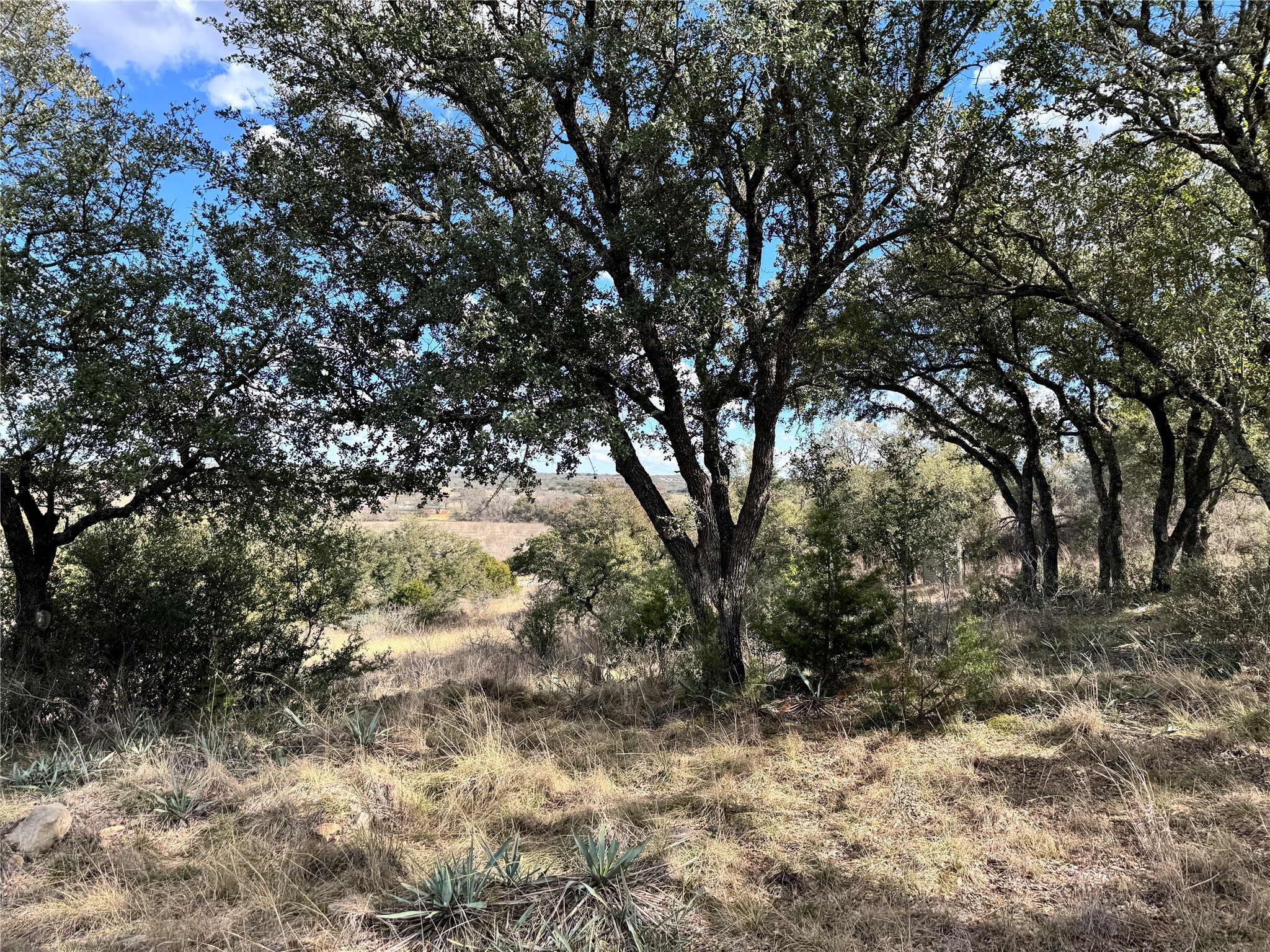 TBD Lot 240 Feather Bay Drive, Brownwood, TX, 76801