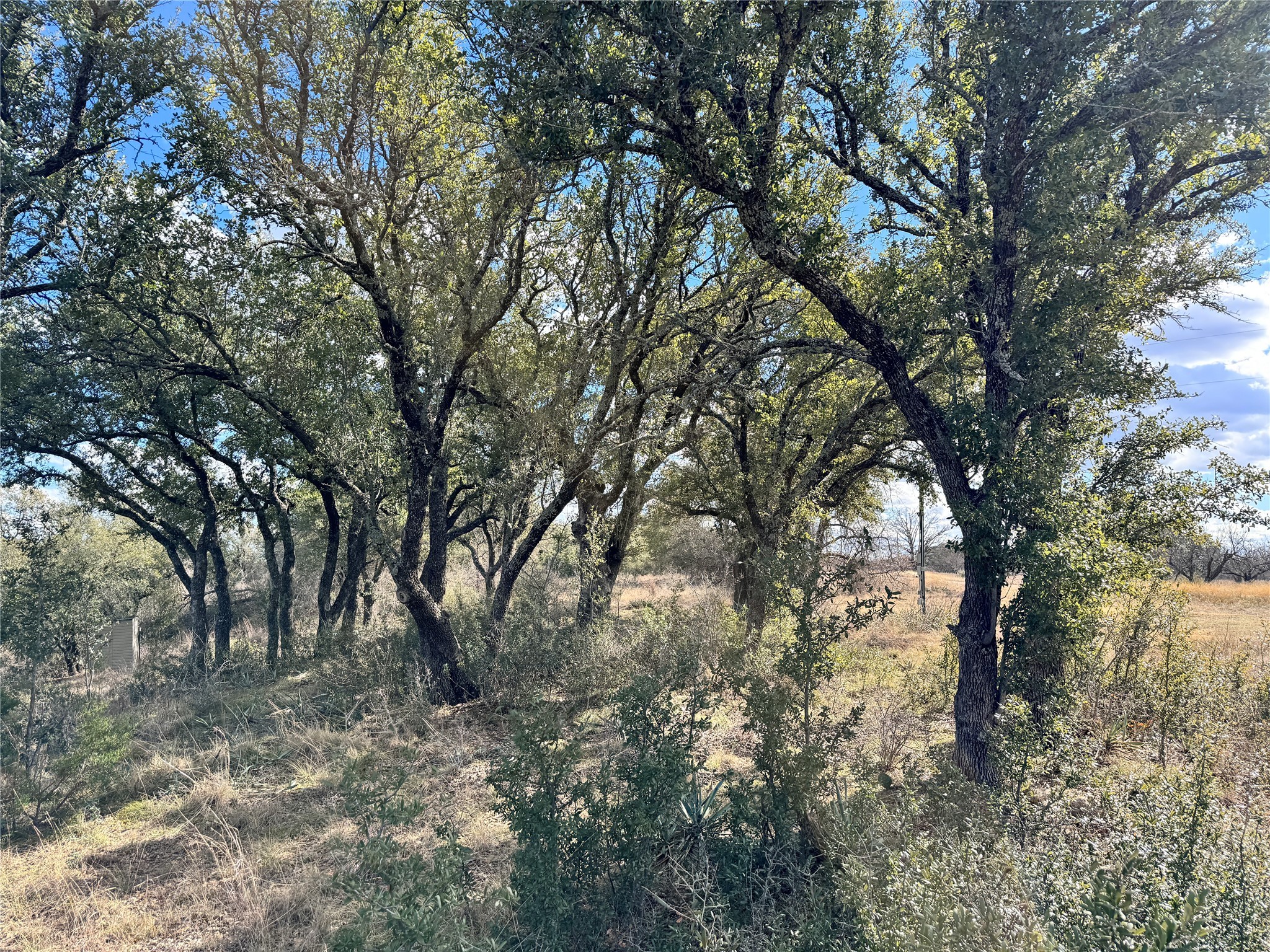 TBD Lot 240 Feather Bay Drive, Brownwood, TX, 76801