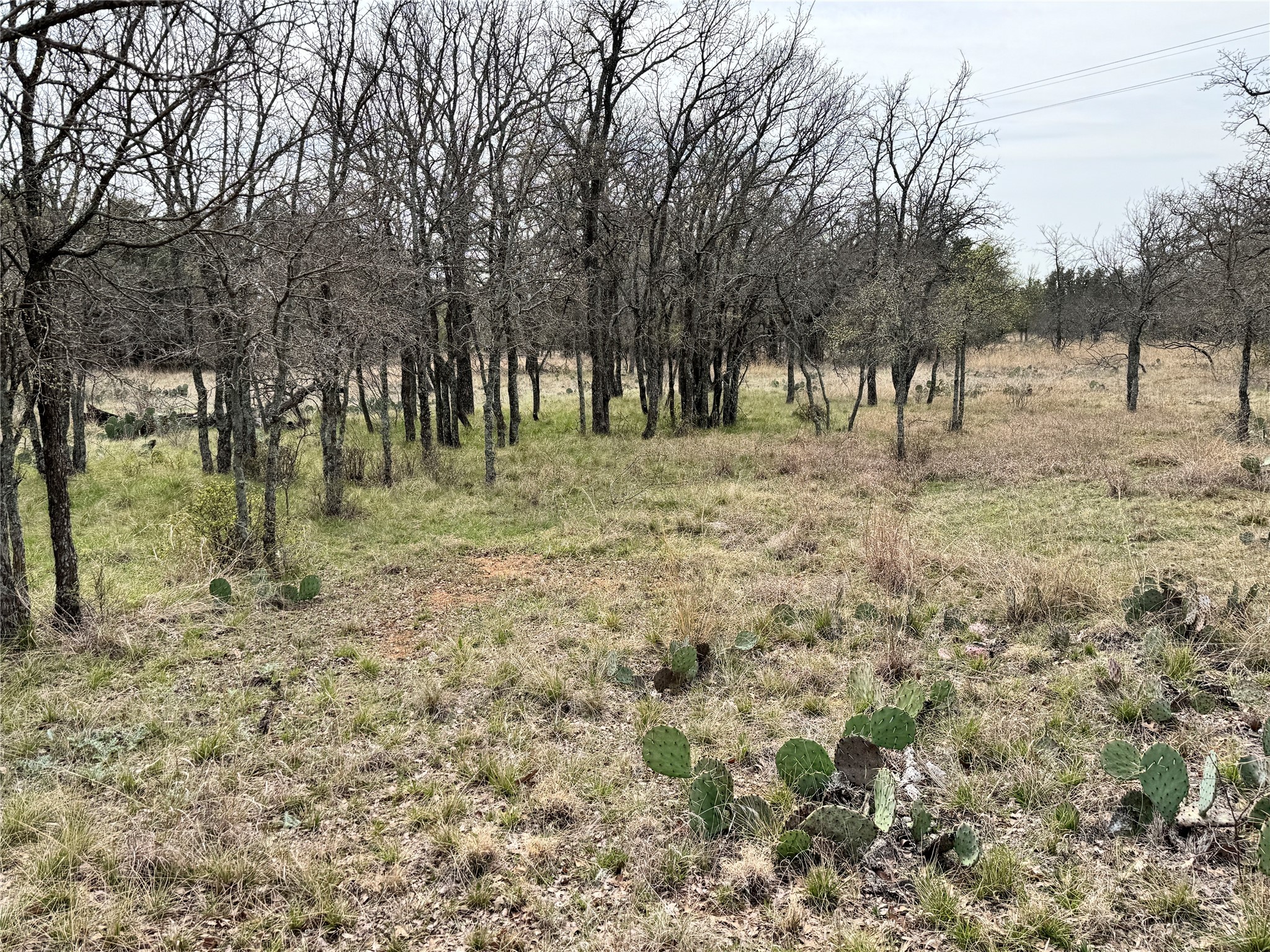 TBD Lot 240 Feather Bay Drive, Brownwood, TX, 76801