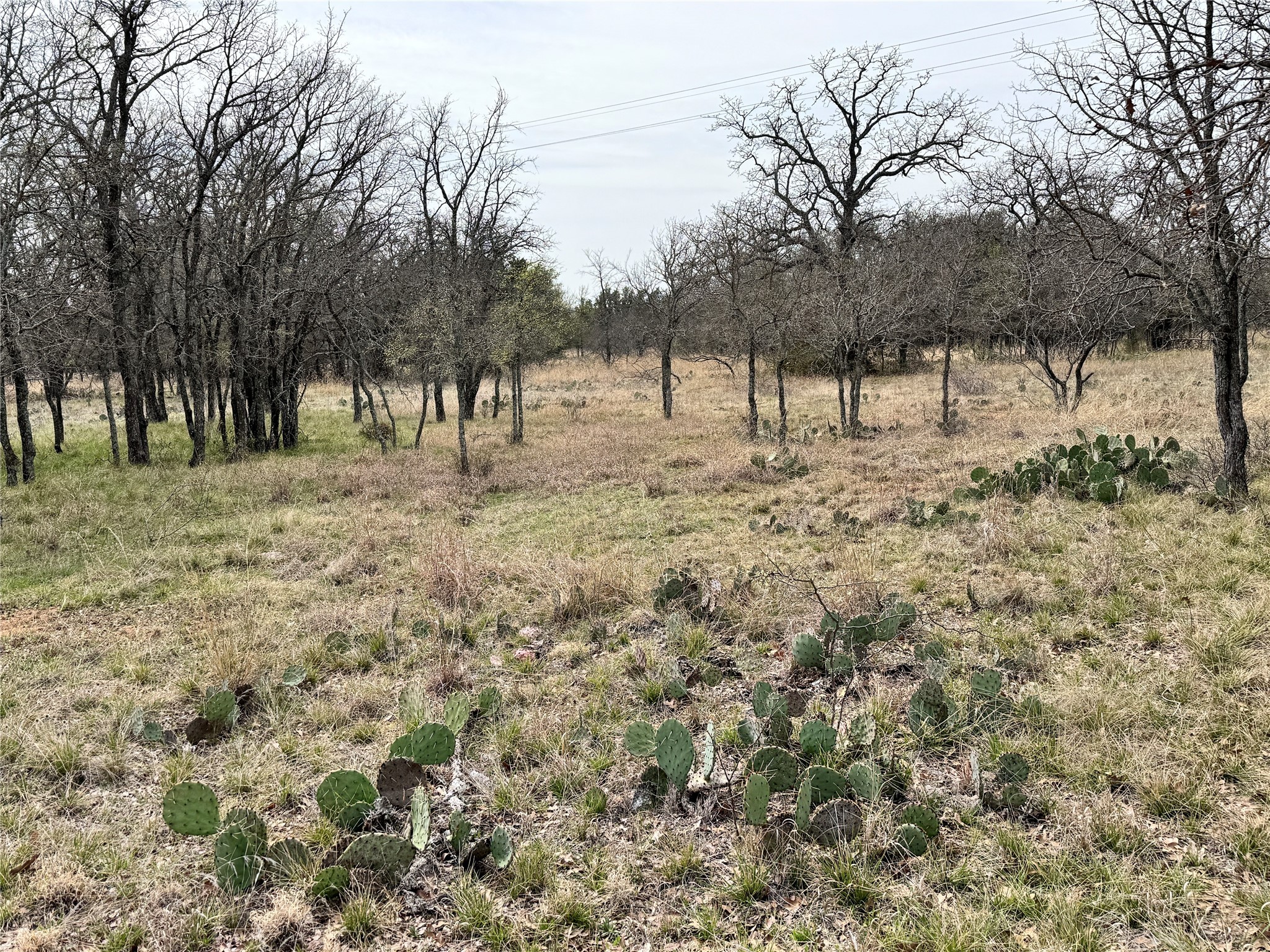 TBD Lot 240 Feather Bay Drive, Brownwood, TX, 76801