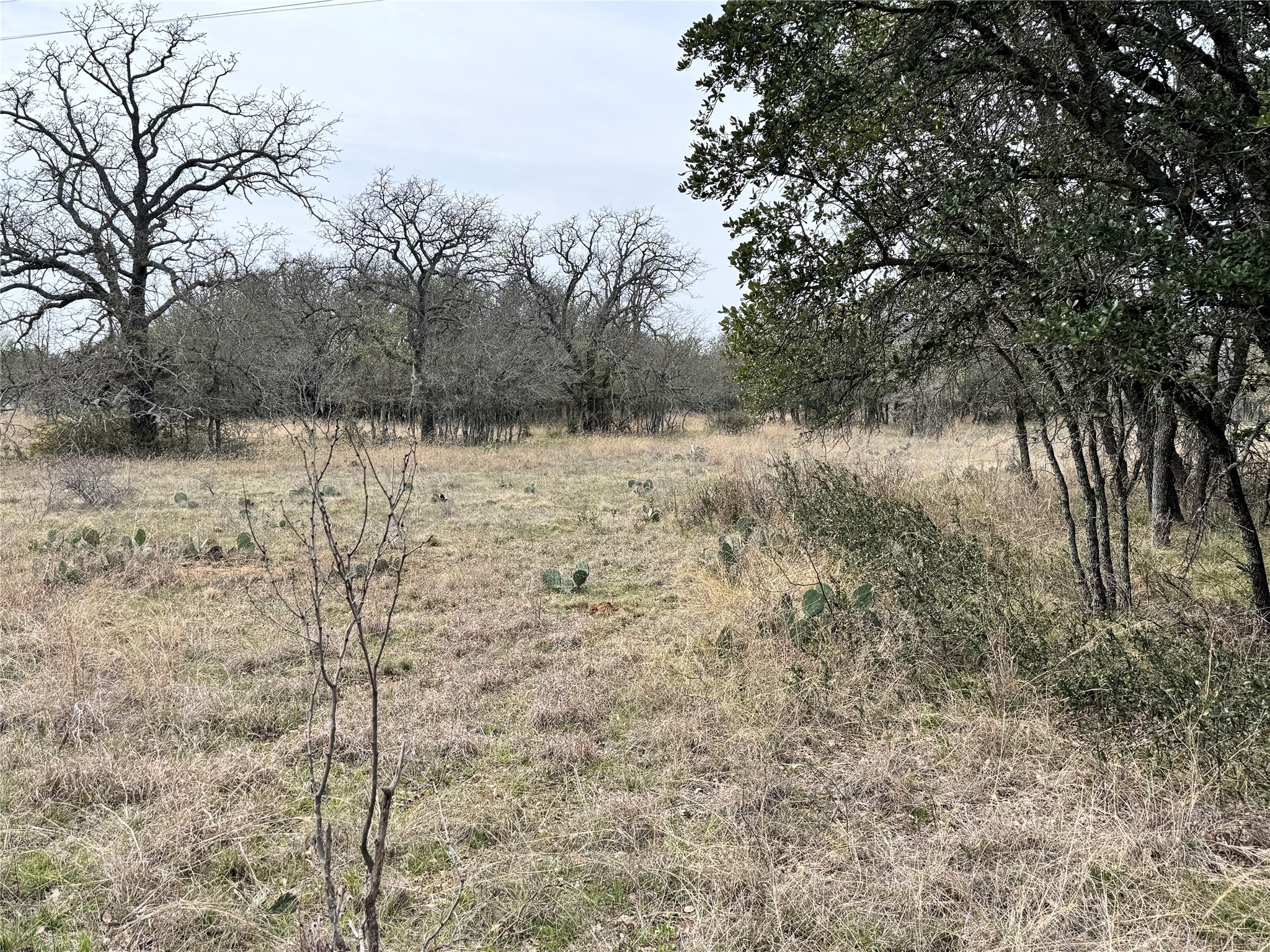 TBD Lot 240 Feather Bay Drive, Brownwood, TX, 76801
