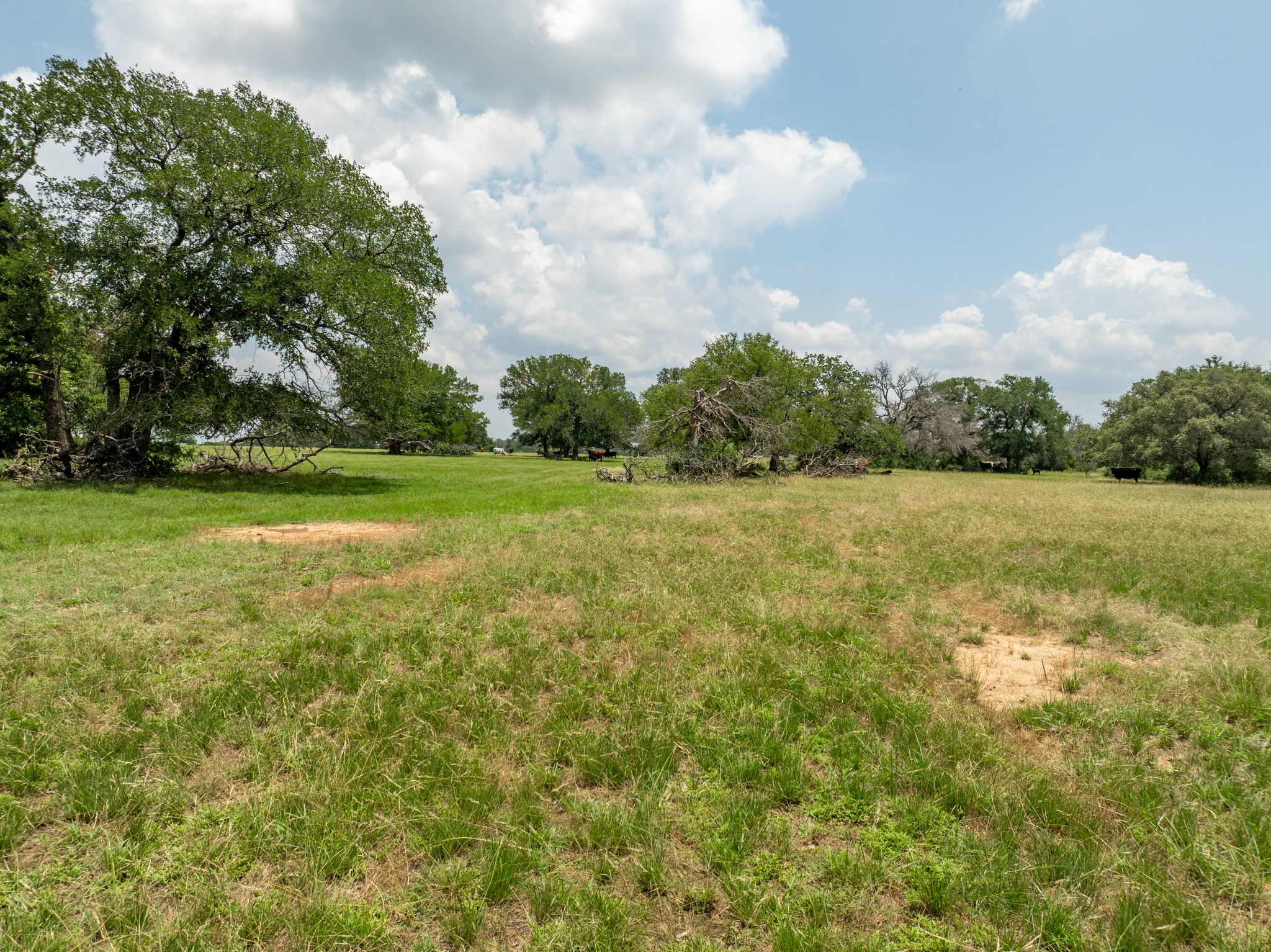 5315 Fm 932, Jonesboro, TX, 76538