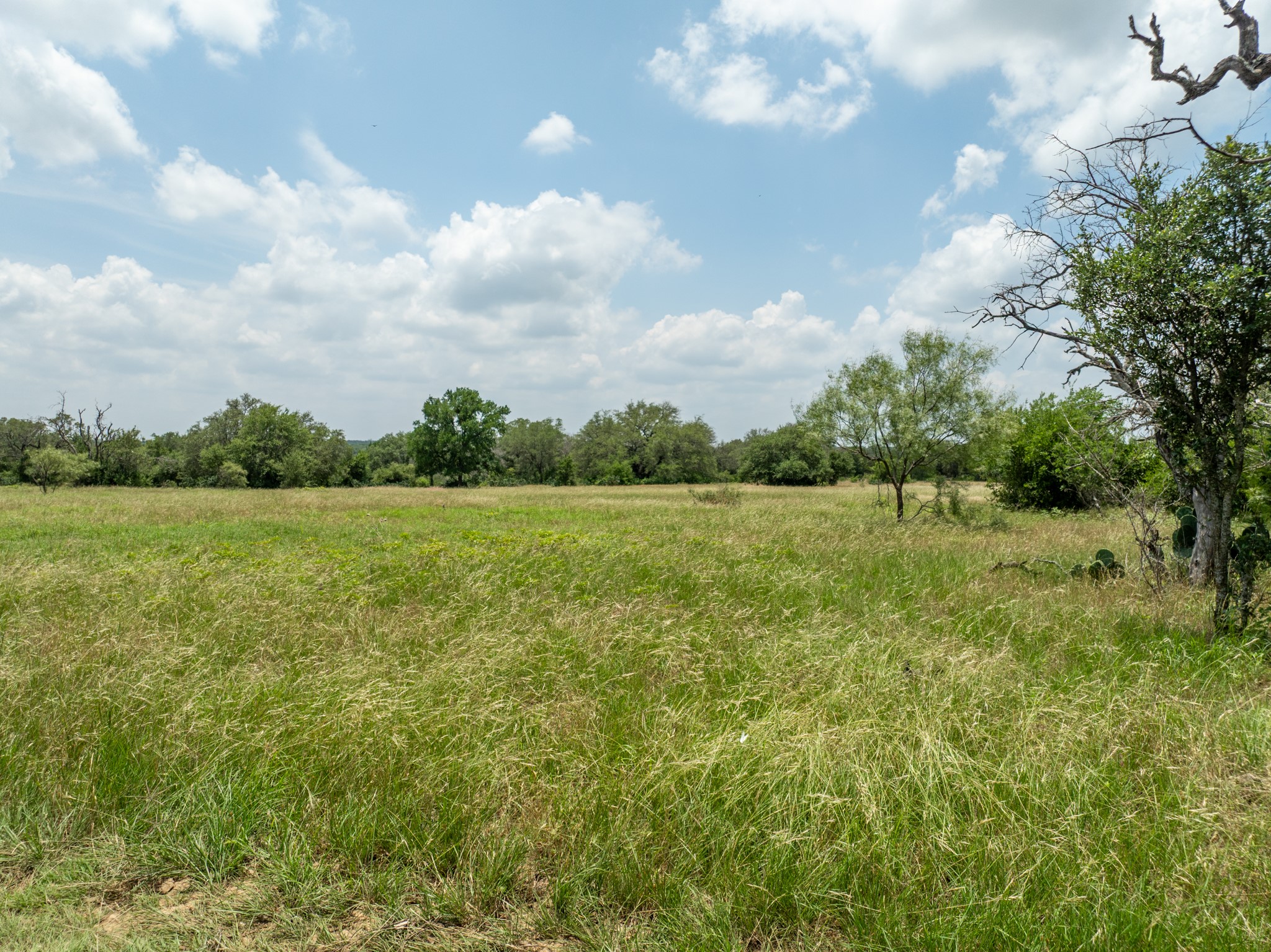 5315 Fm 932, Jonesboro, TX, 76538