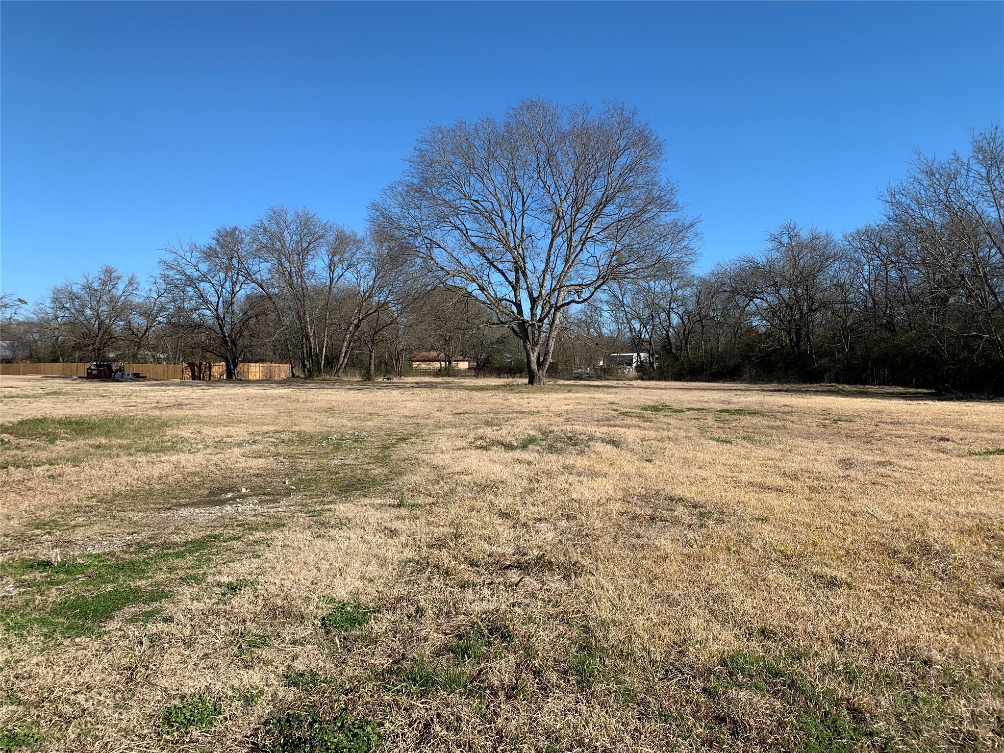 Property photo 03 of 329 E Greenville Street, Alba, TX 75410 | MLS #20996710