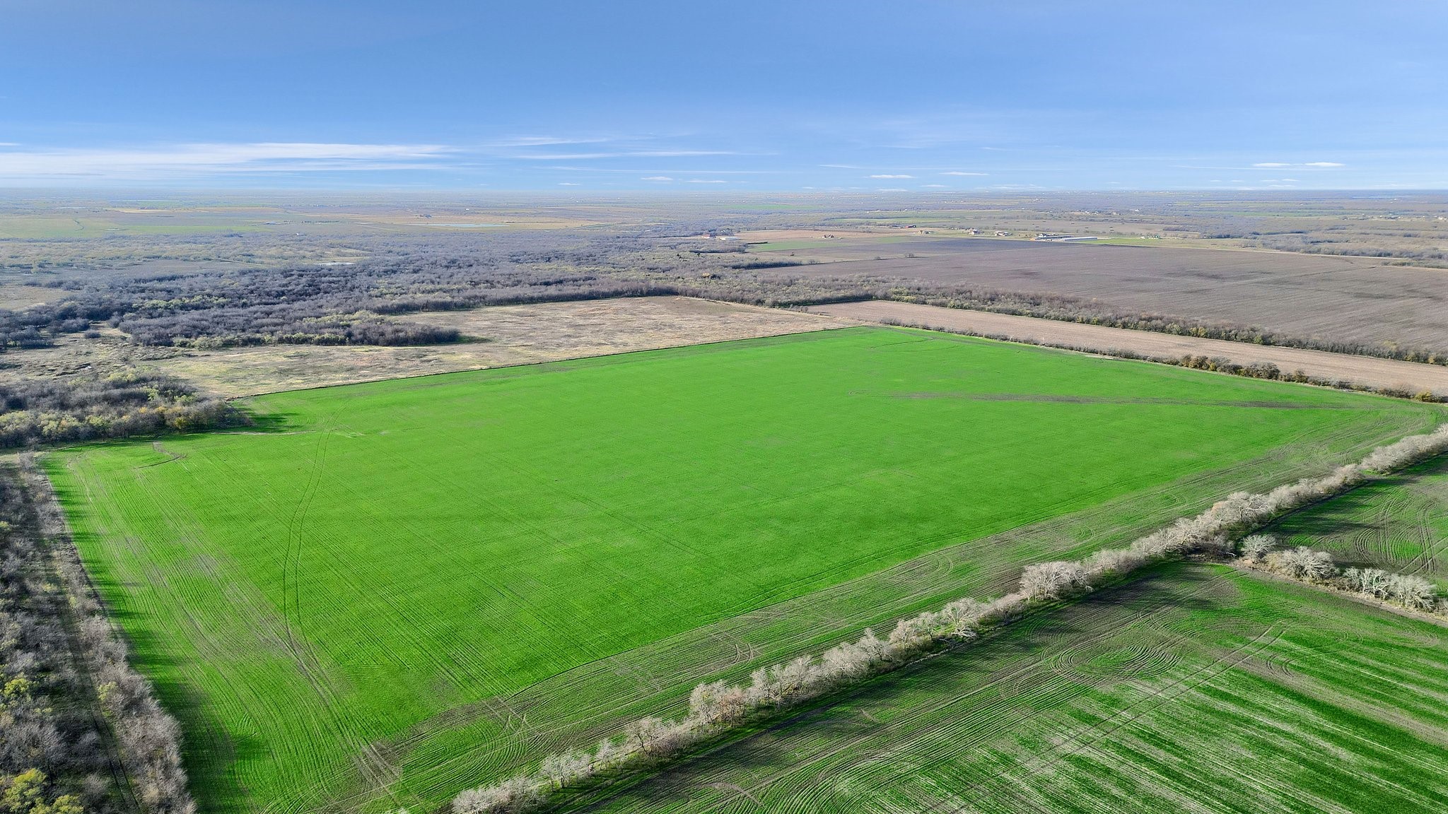 Property photo 04 of TBD Wall Street Road, Gunter, TX 75058 | MLS #20997027