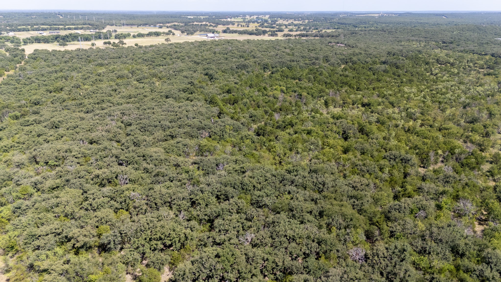 1957 Prairie Grove Road, Valley View, TX, 76272