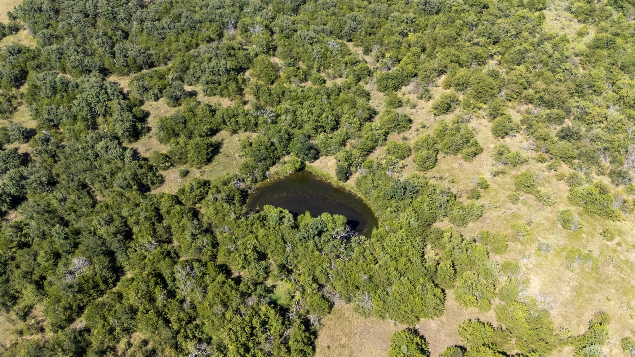 1957 Prairie Grove Road, Valley View, TX, 76272